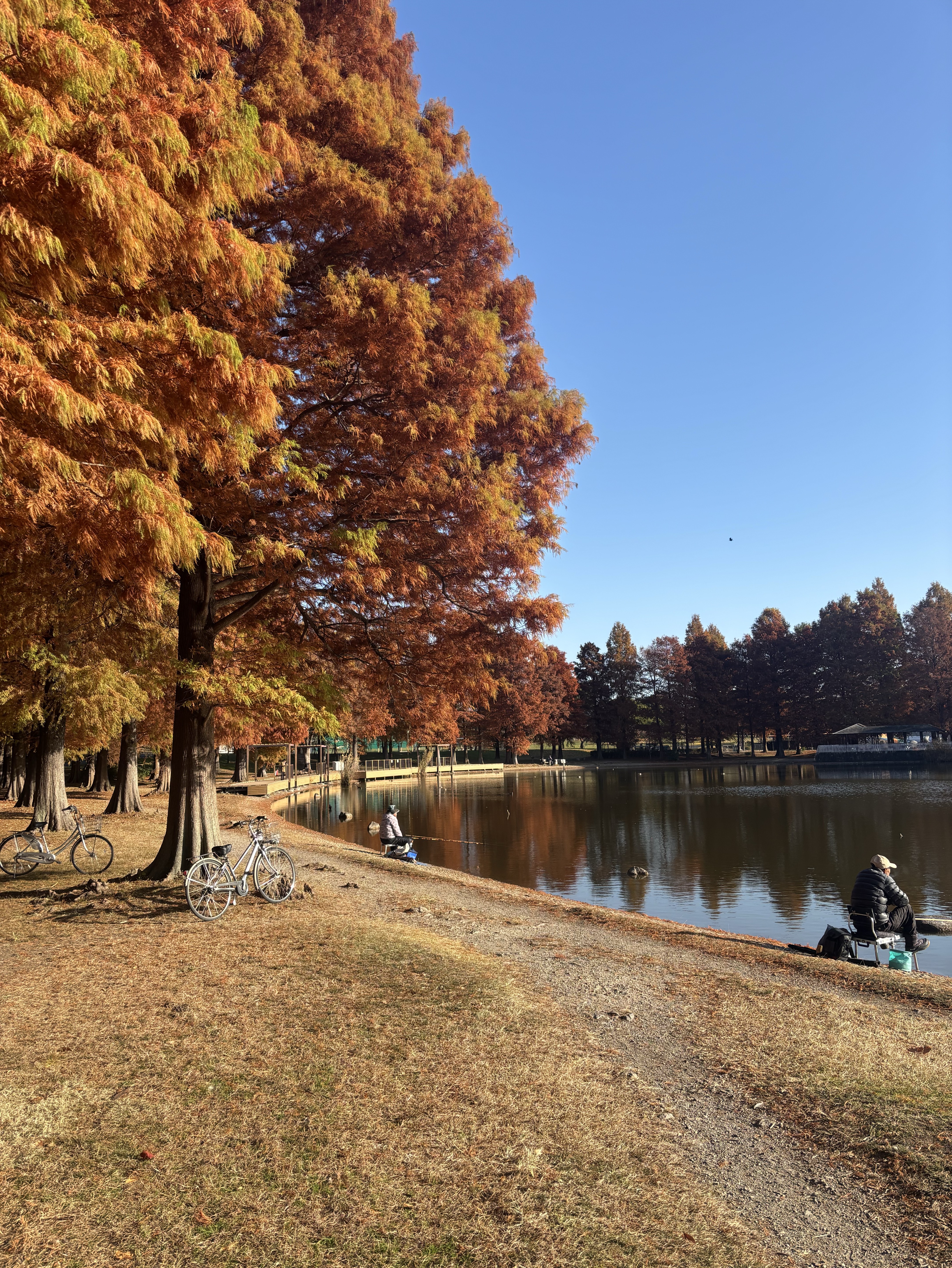 にちは（˙꒳​˙  )作業・勉強枠