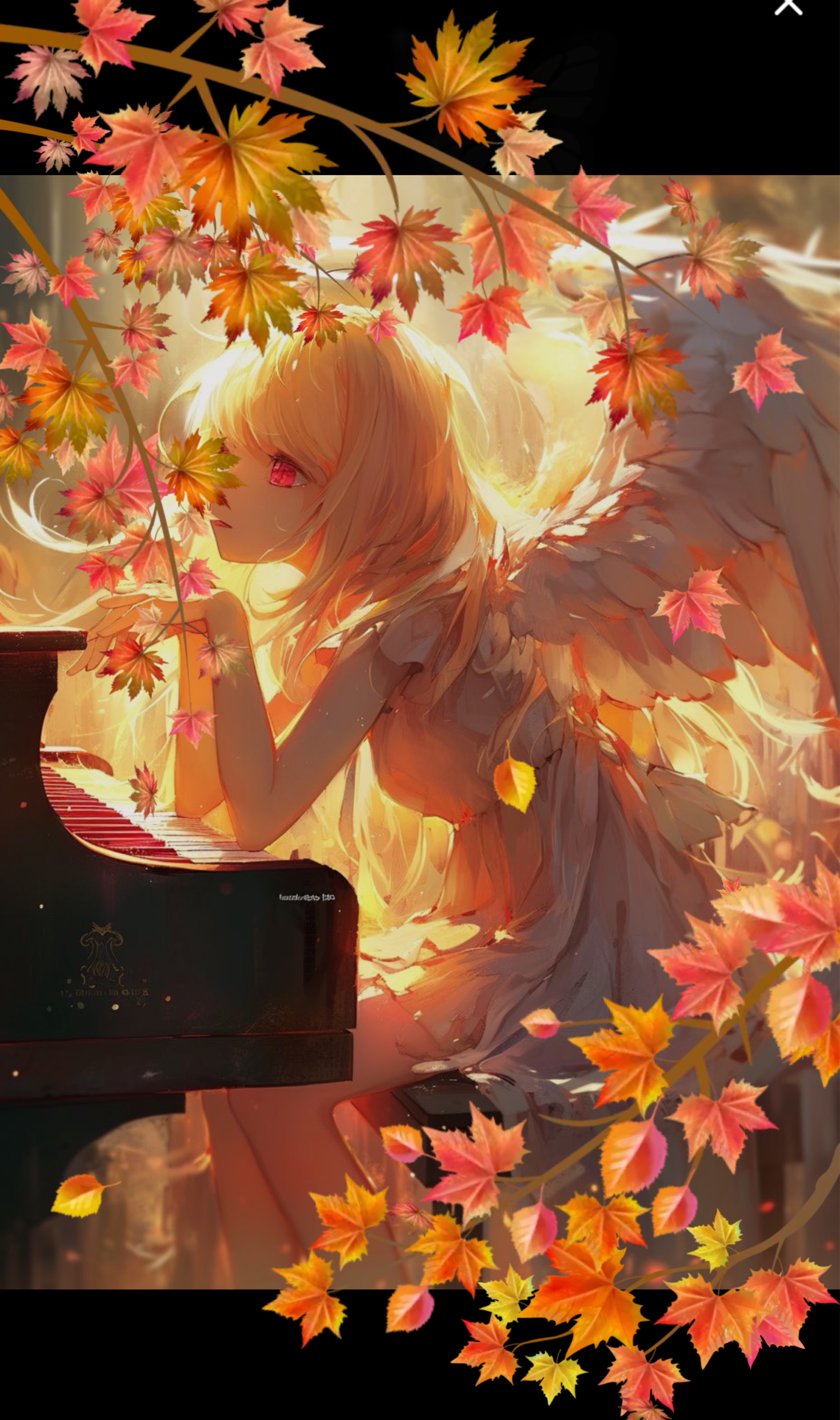 弾き語り🎹/機材歌