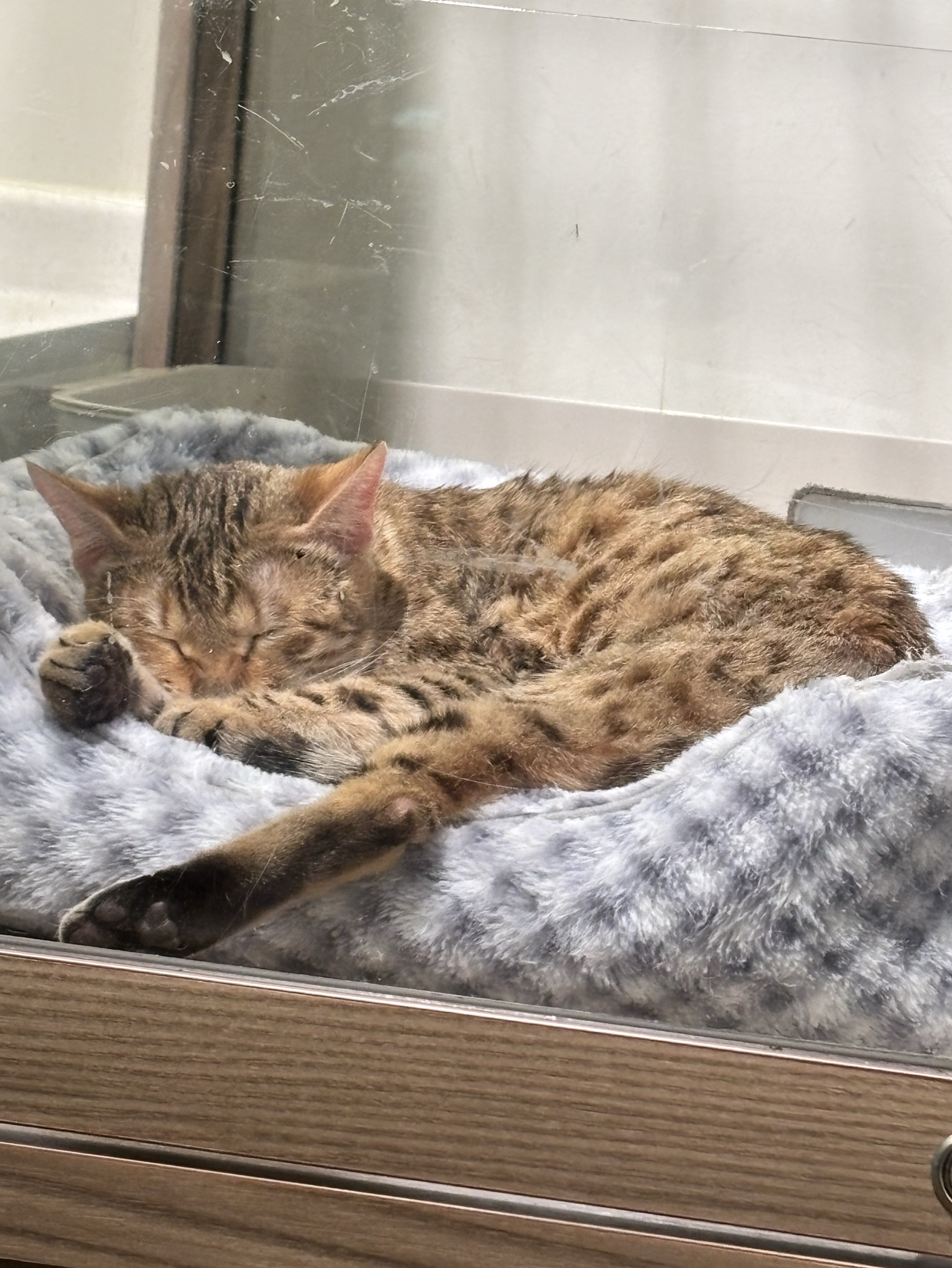 暇な人おいで〜！