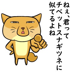 中低音/介護福祉士 元気の貰える枠