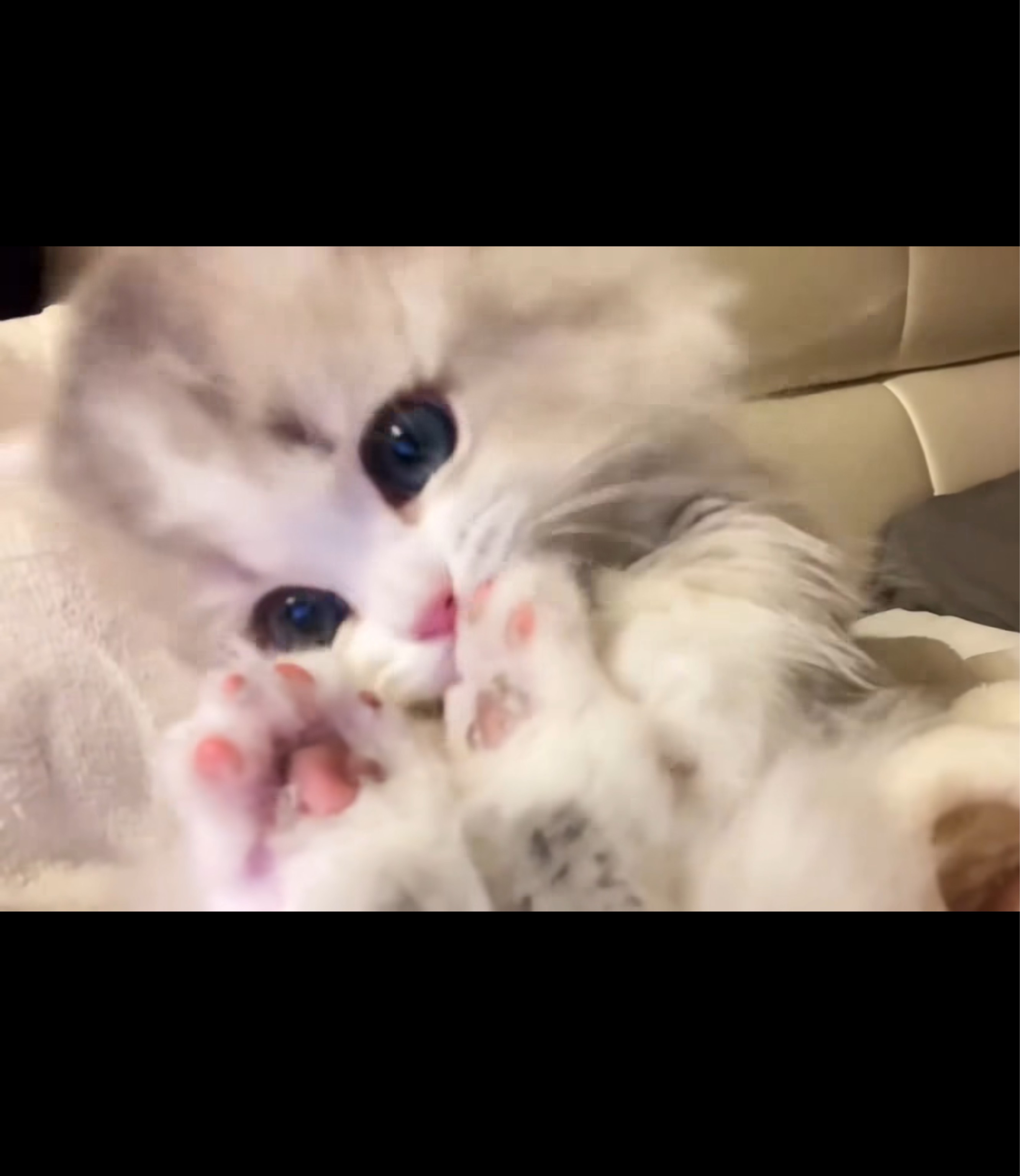 一緒に勉強･作業どうですか✍🏻💭