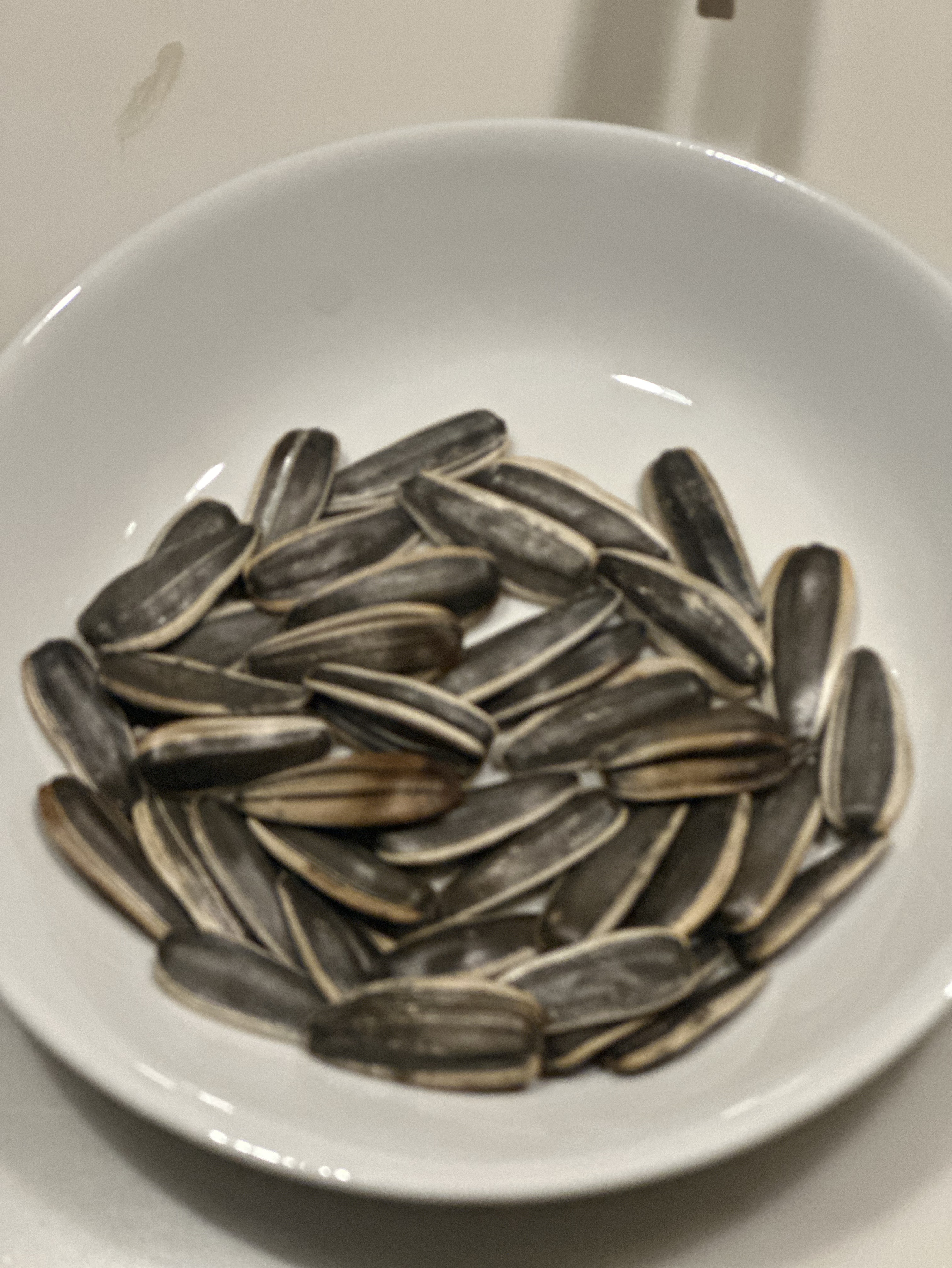 だーい好きなのはー向日葵の種ー俺もー