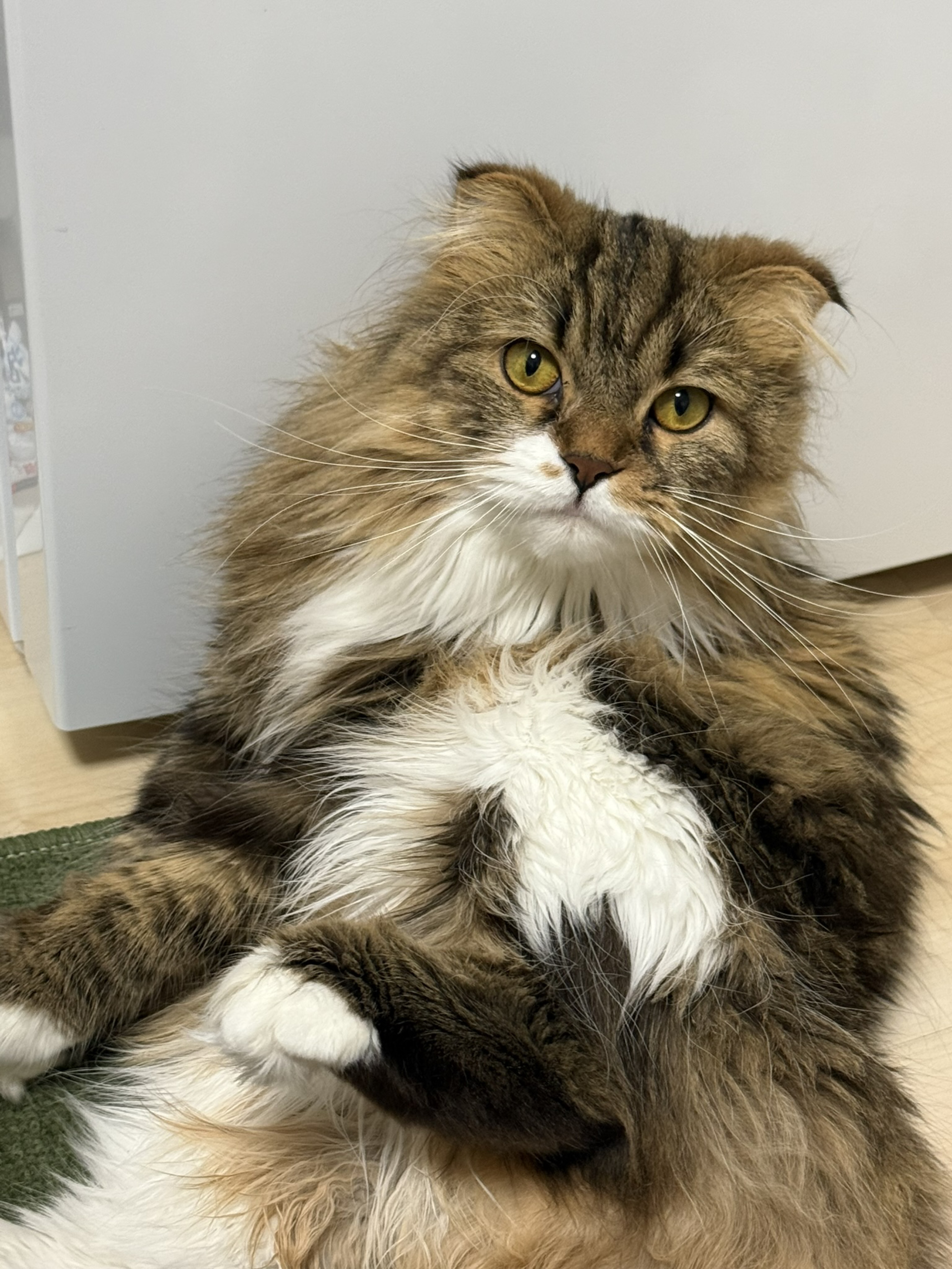 話しかけ方がわからない