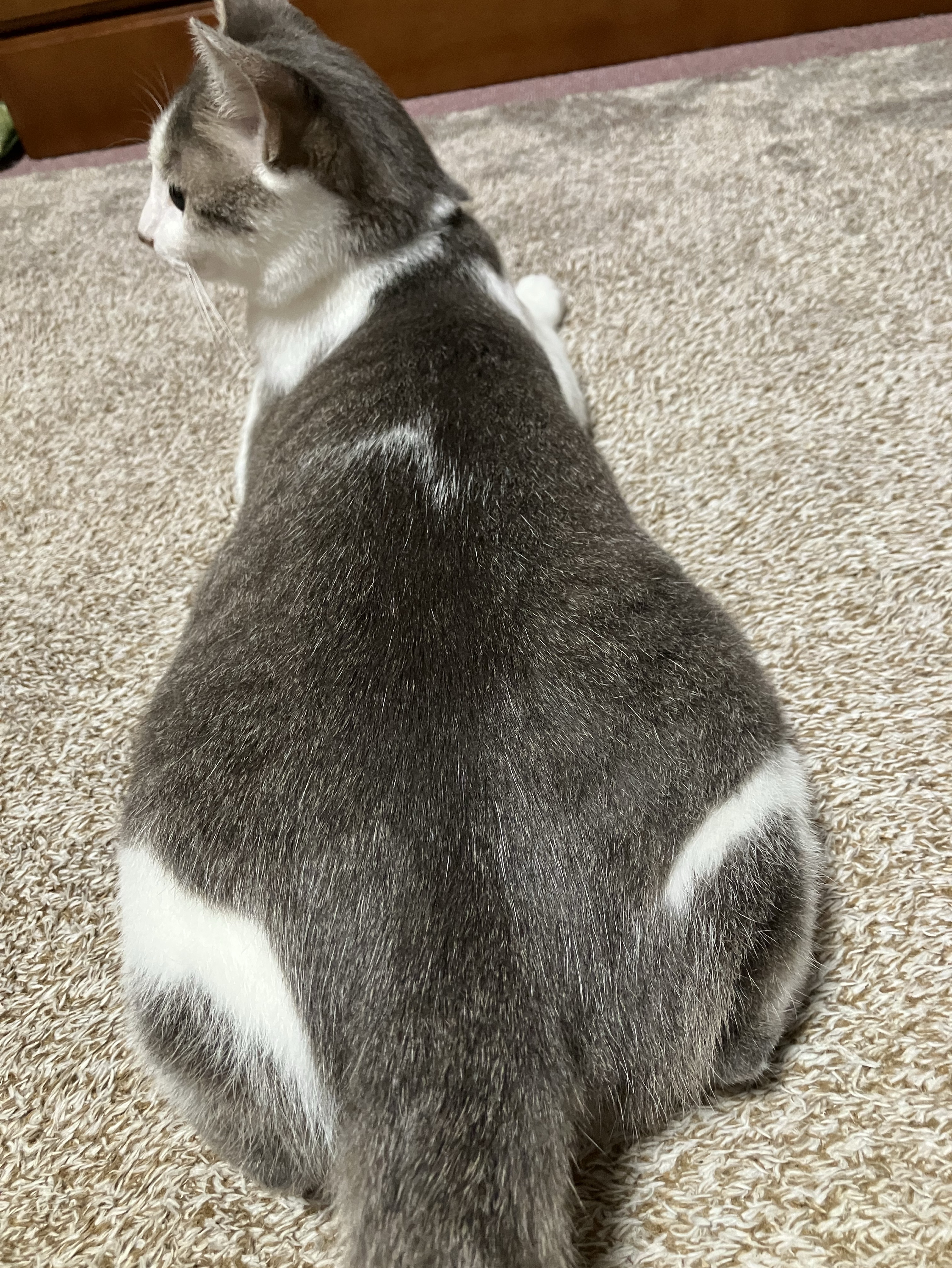 中低音/介護  元気とまったりを