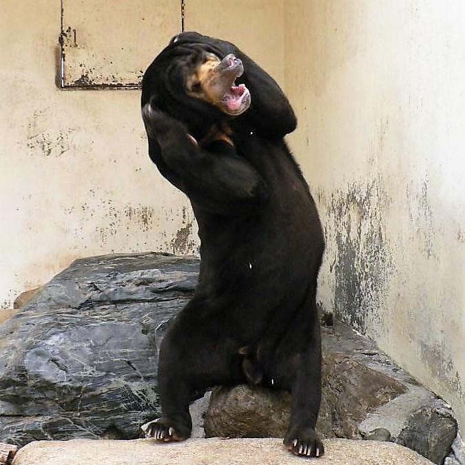 中低音/介護  元気とまったりを