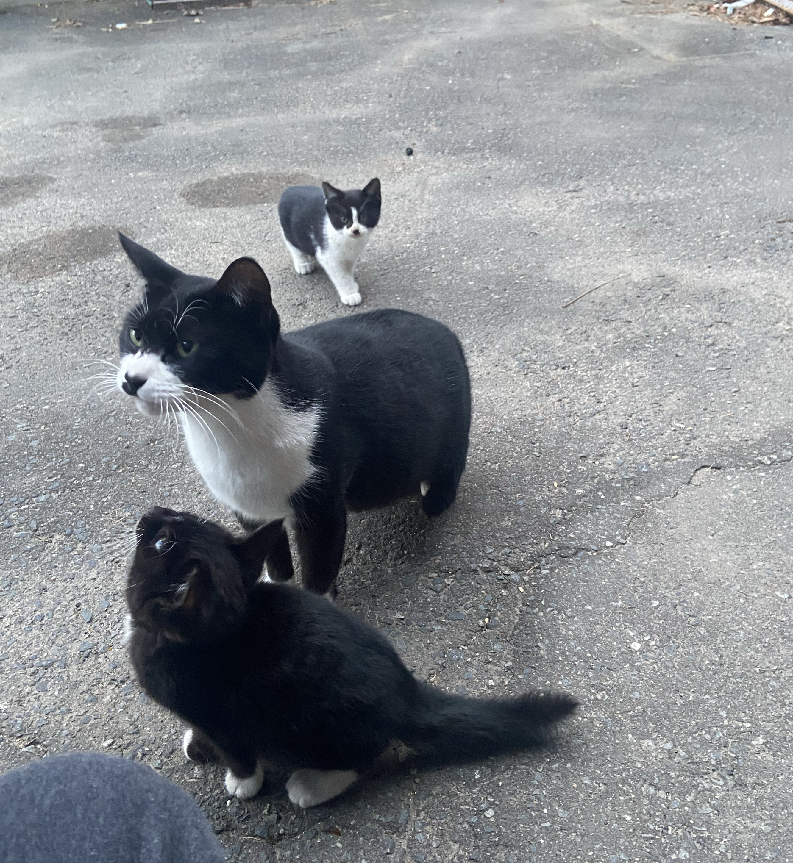 【あと10分】好きすぎて❕滅❕