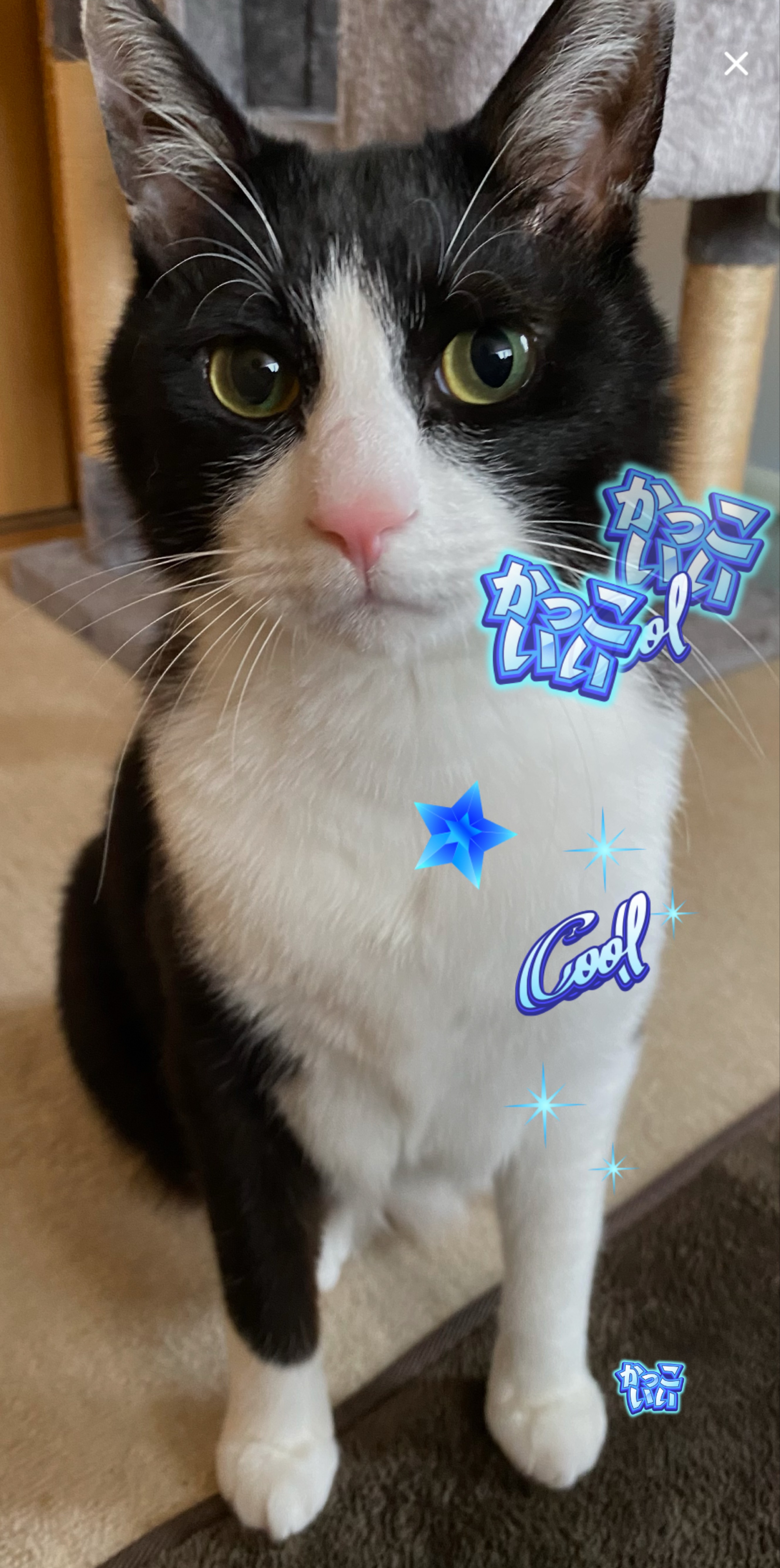 寝落ちのお供に💤