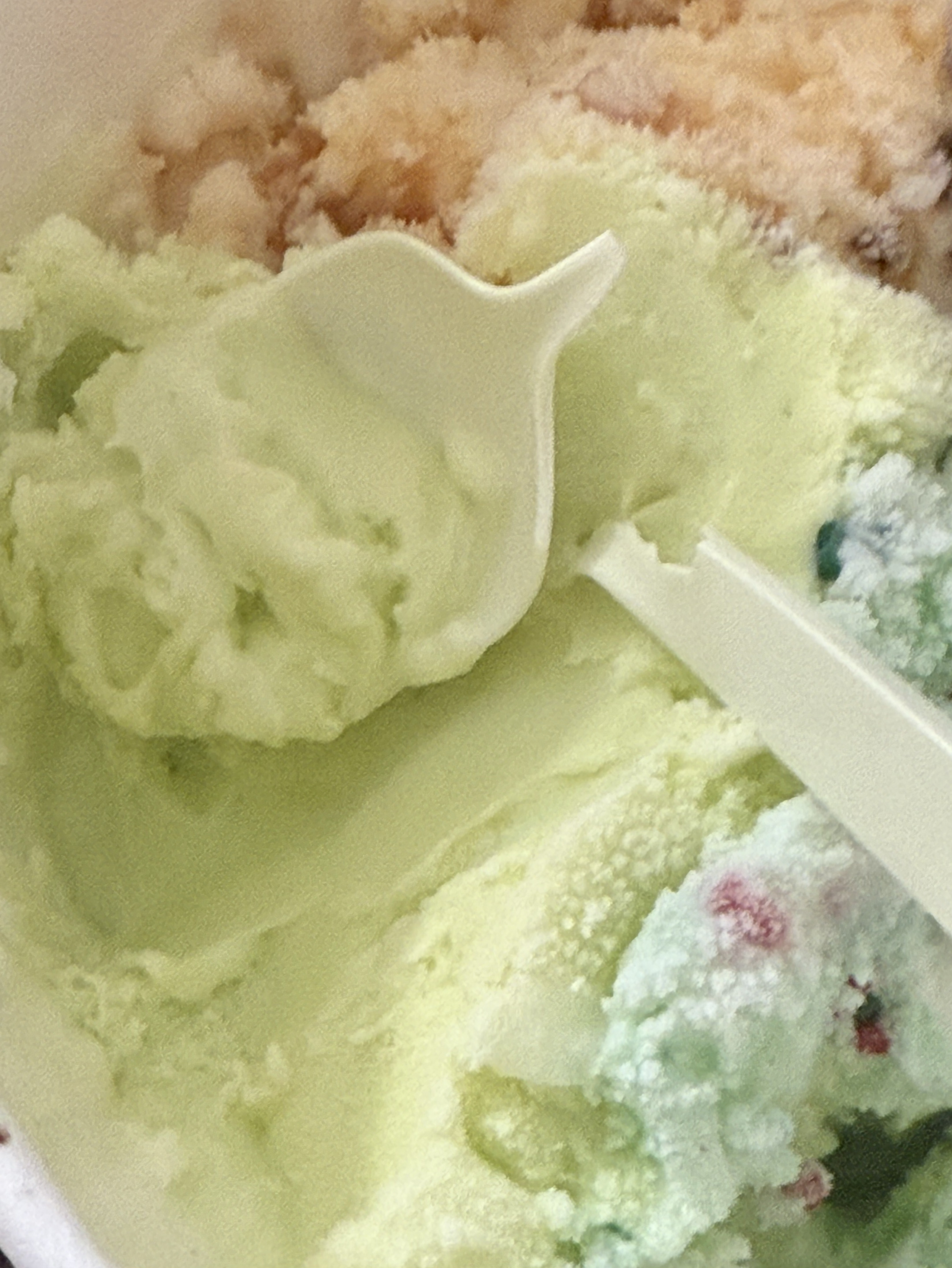 あんにょん雑談