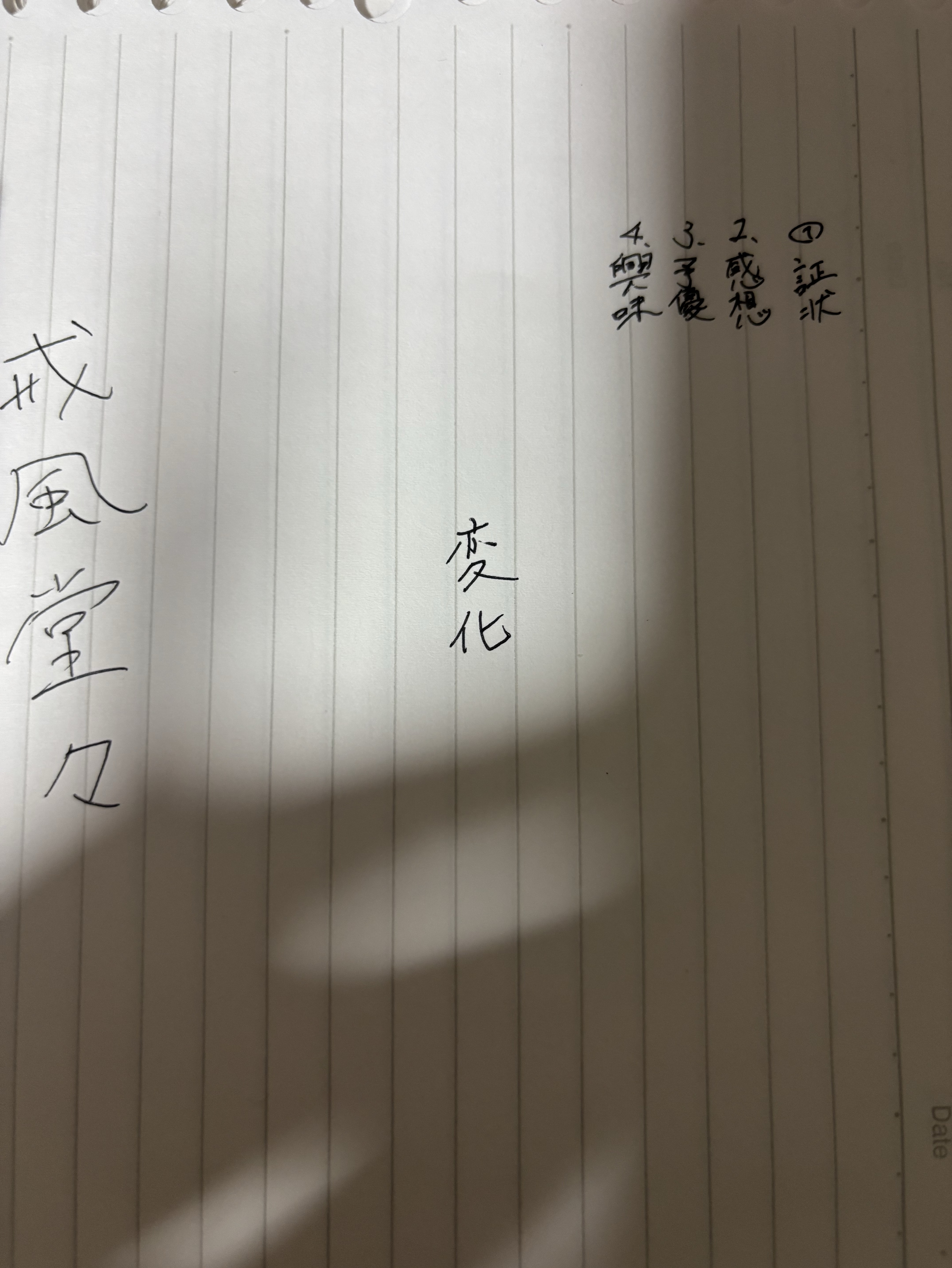 今夜はほいや🦖