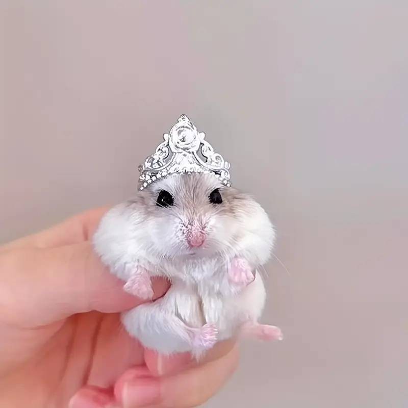 おちかれたま〜❣️