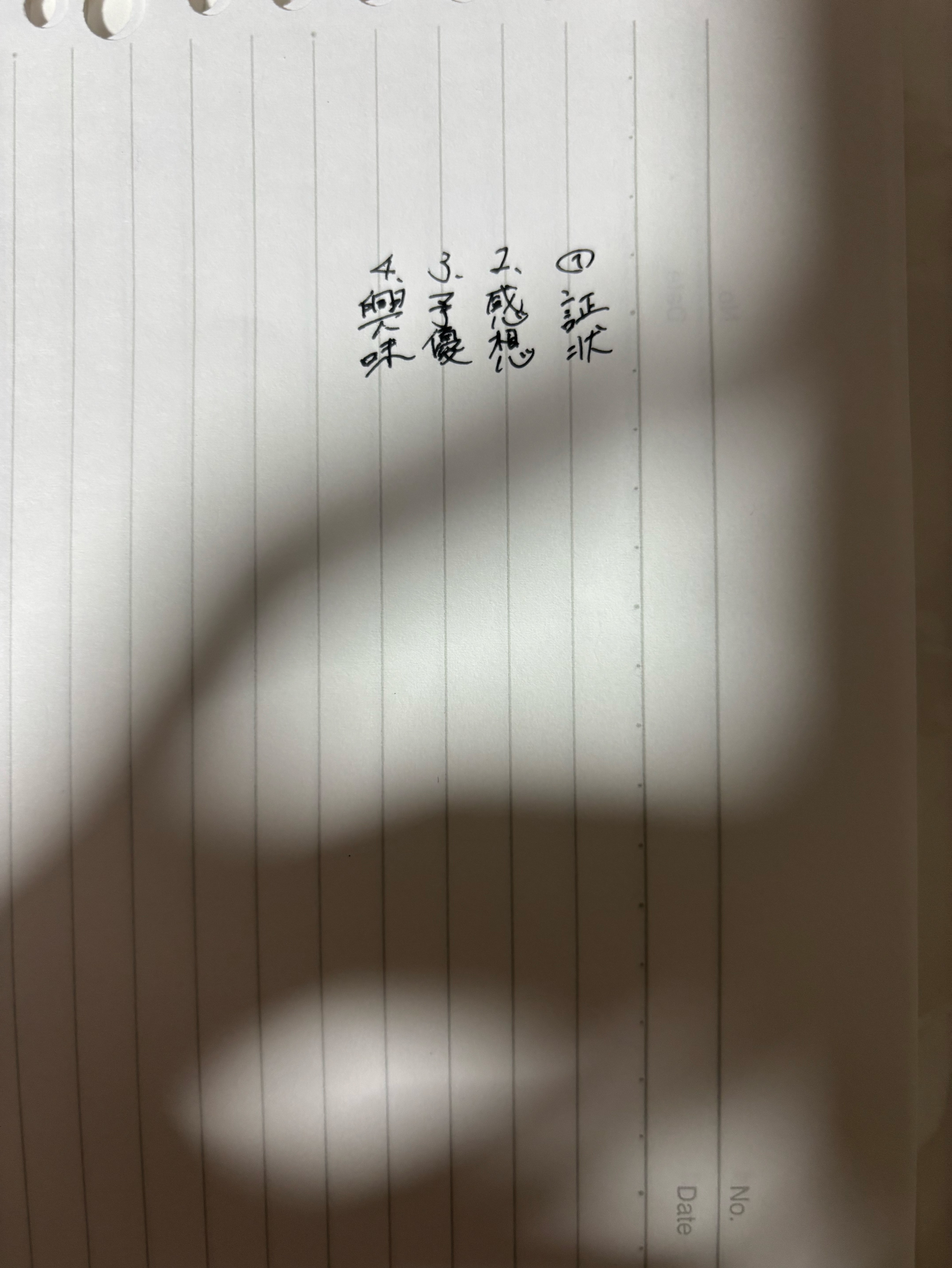 今夜はほいや🦖