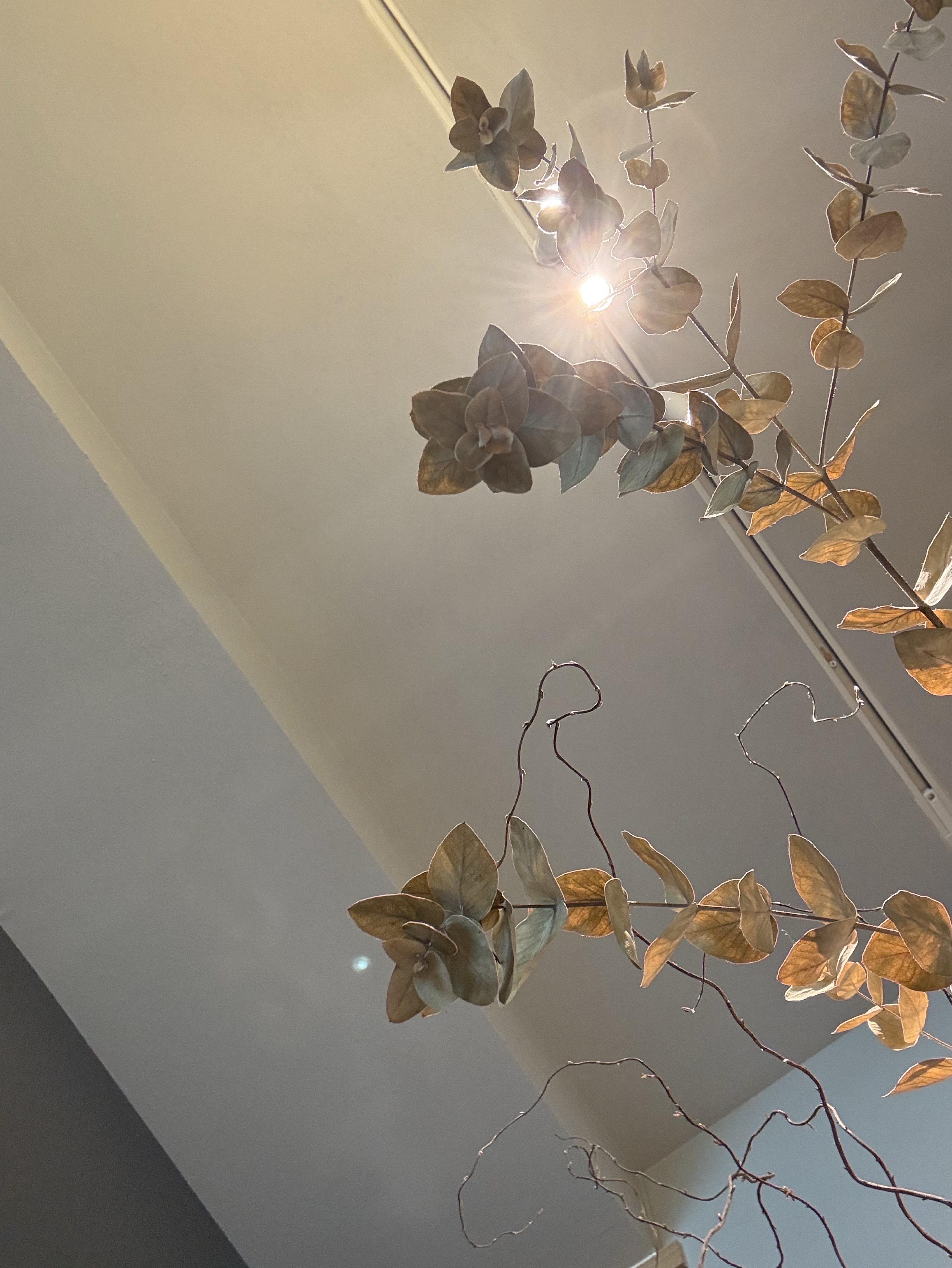 鼻づまりげす。ほんのちょっと