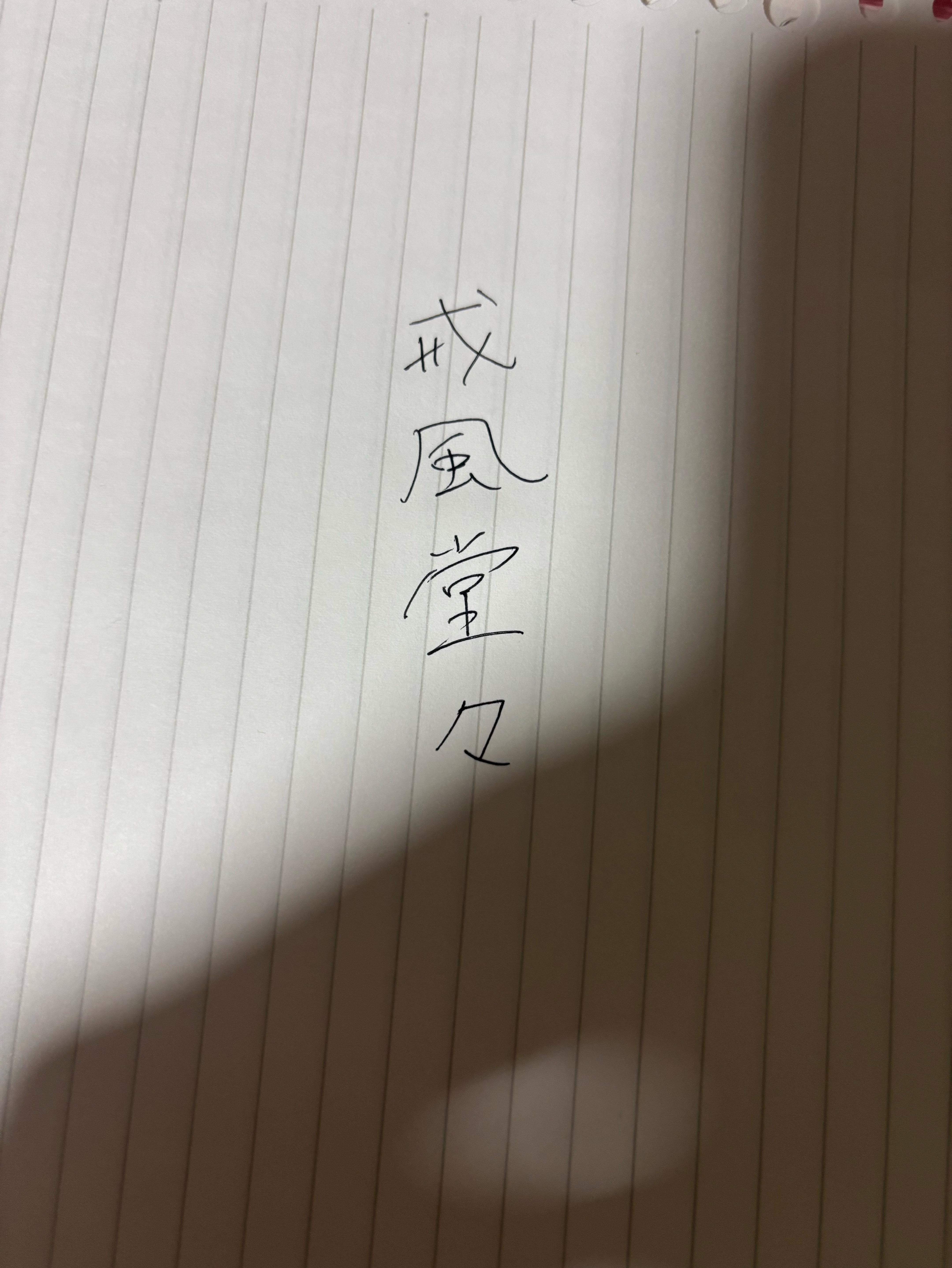 今夜はほいや🦖