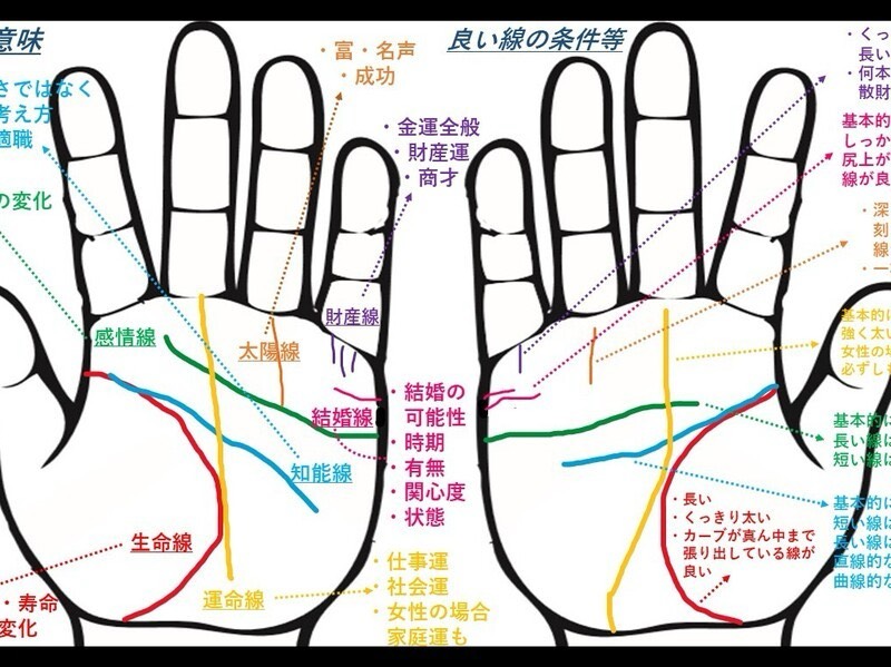 潜れる癒し枠🌷￤初寝潜◎