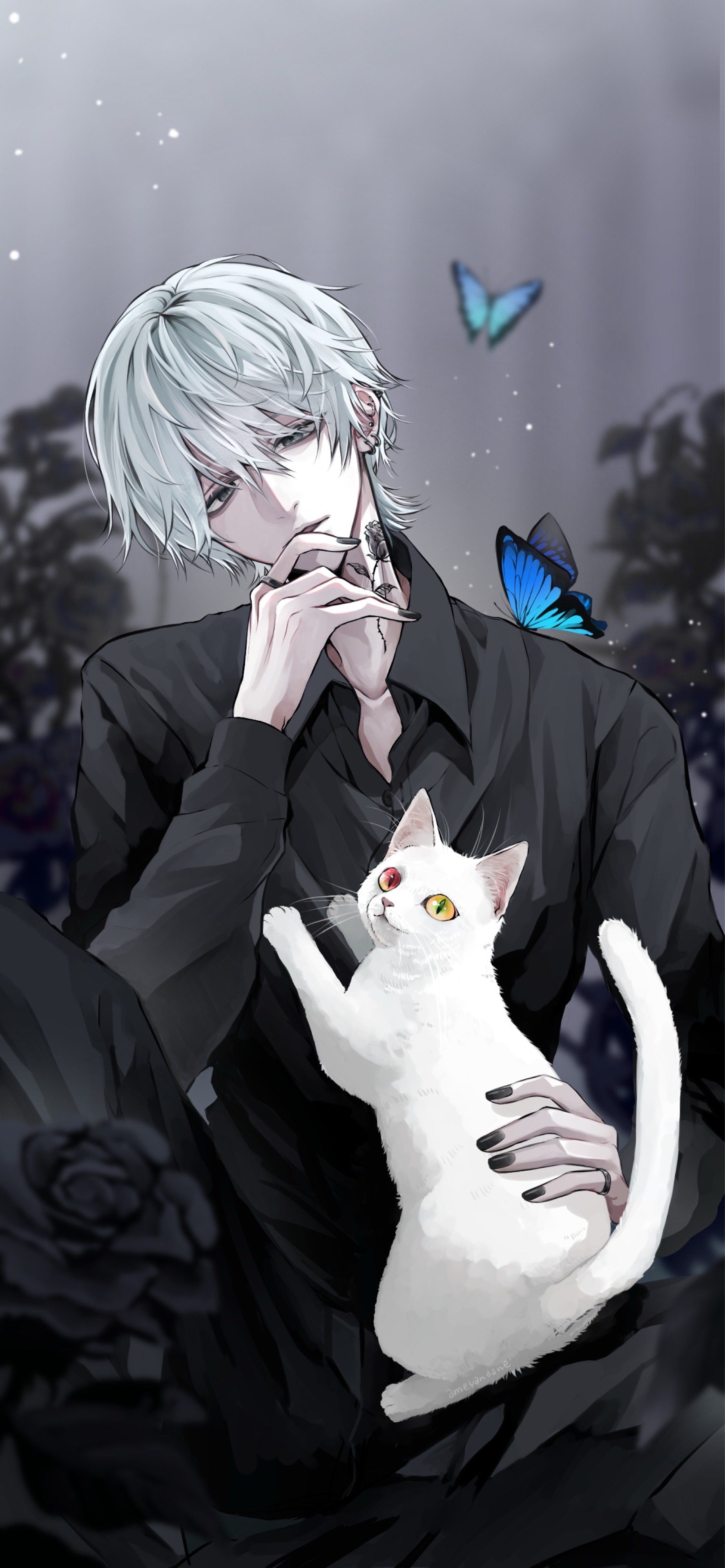 初潜寝◎￤安眠声