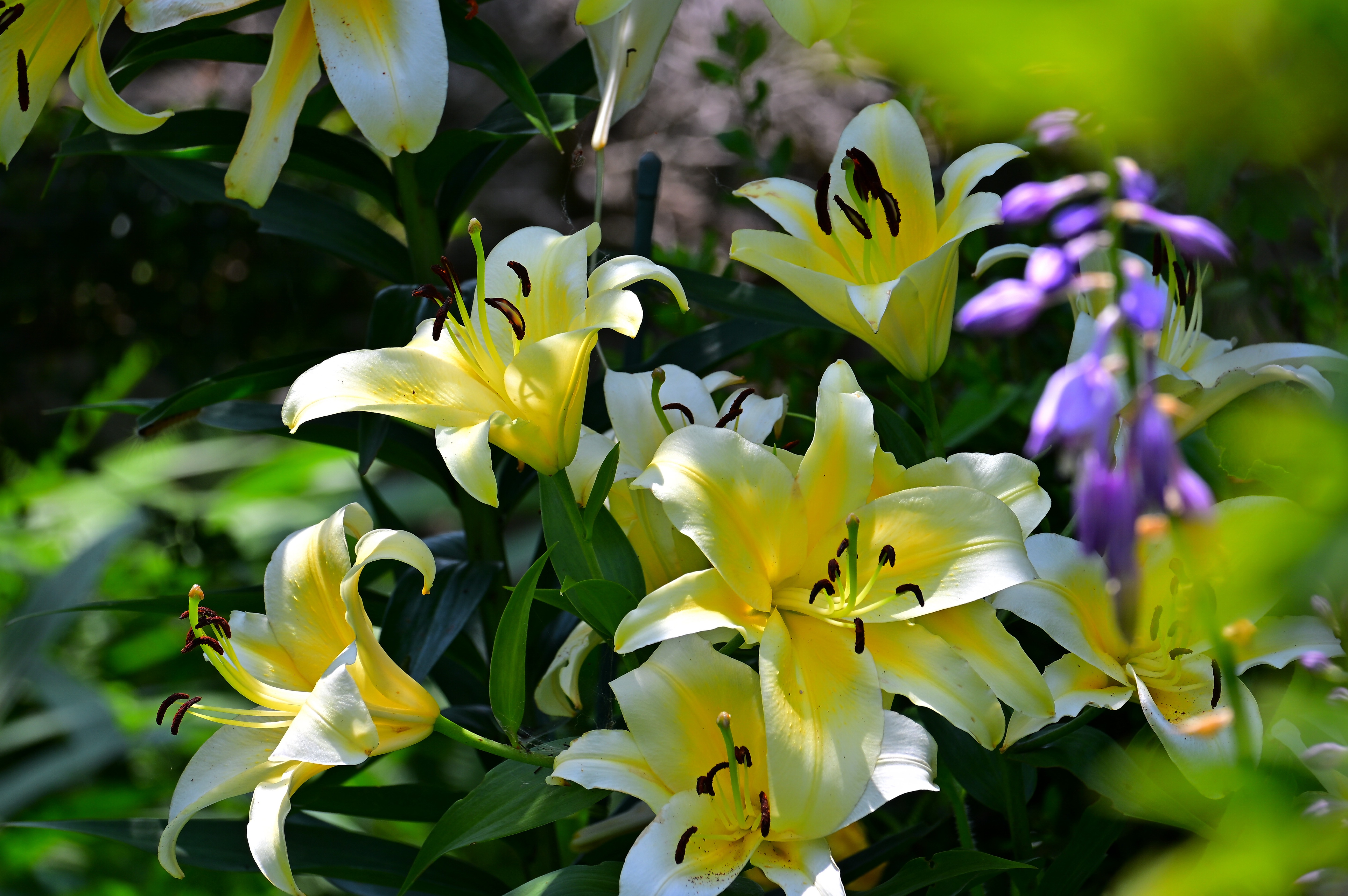 世界情勢勉強30分くらい