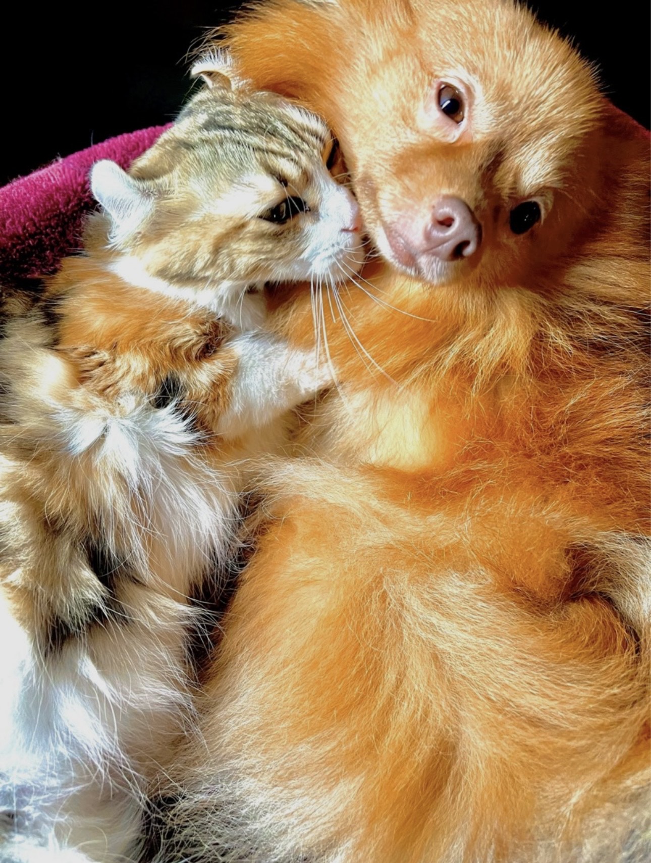 12/5    1缶付き合えよ