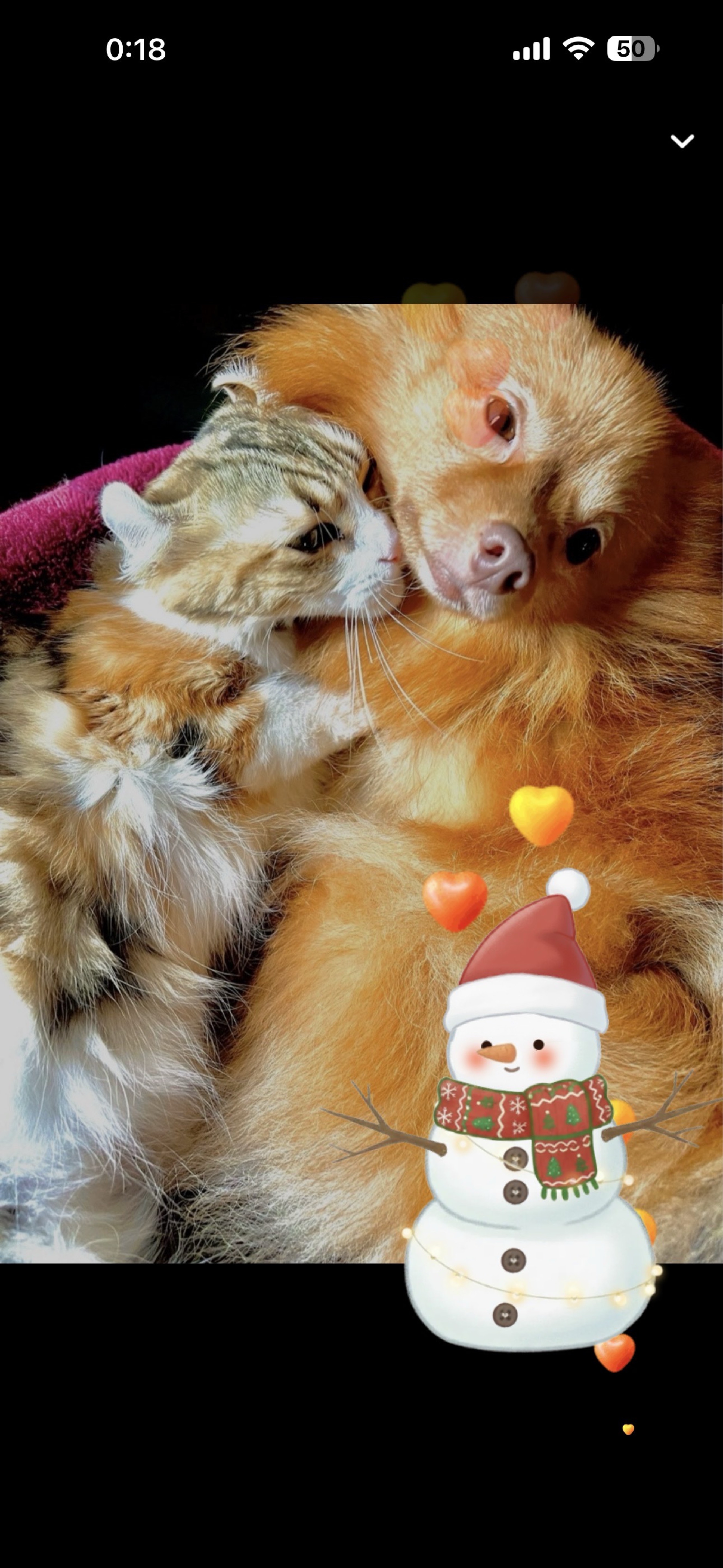 12/5    1缶付き合えよ