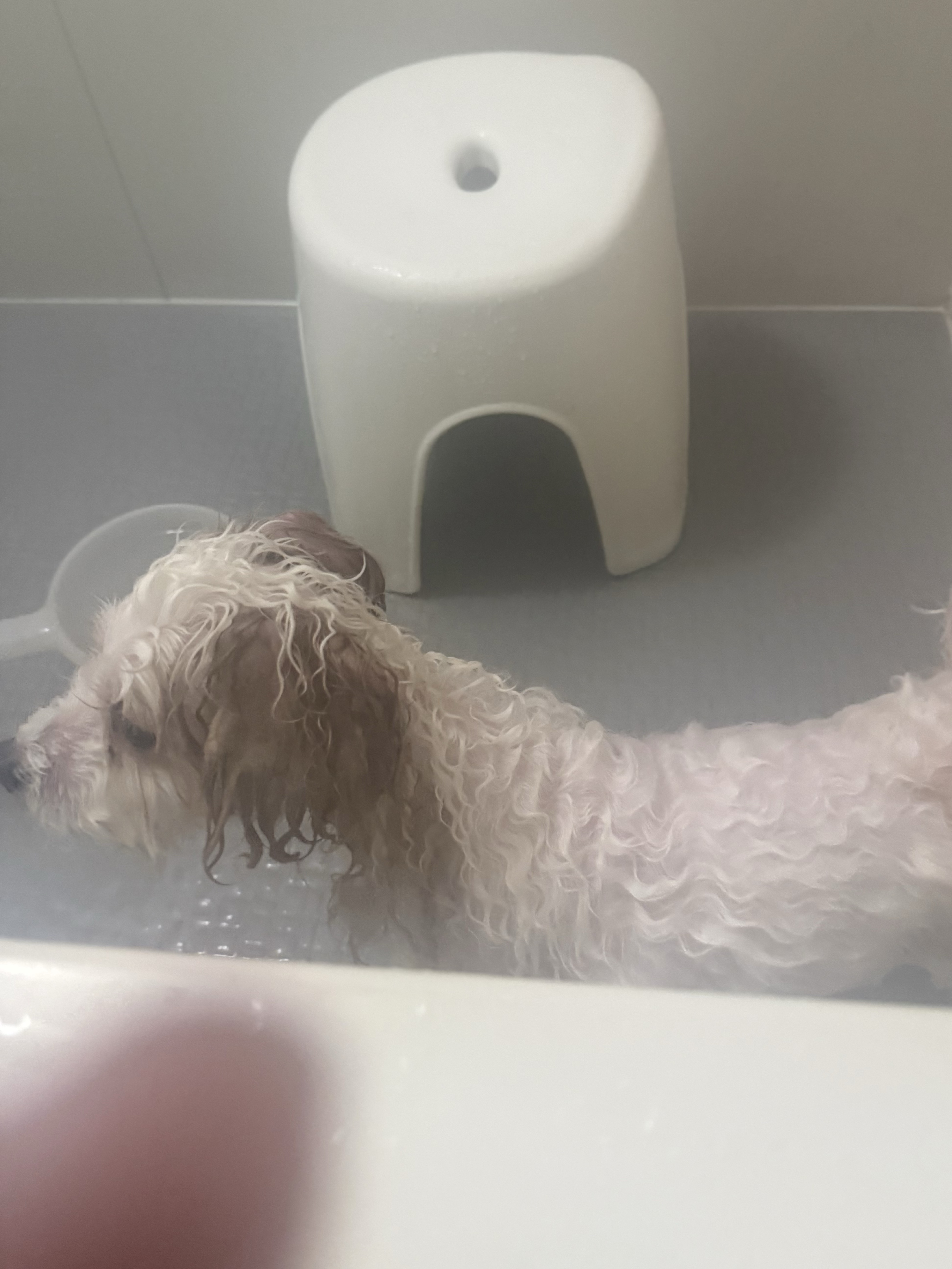 ẗ̤⚓︎ 定時枠