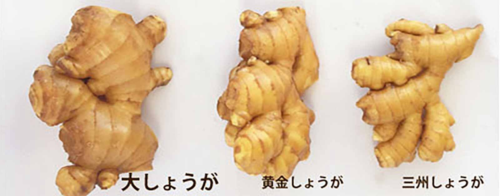 しゃべくりゲラ雑談!