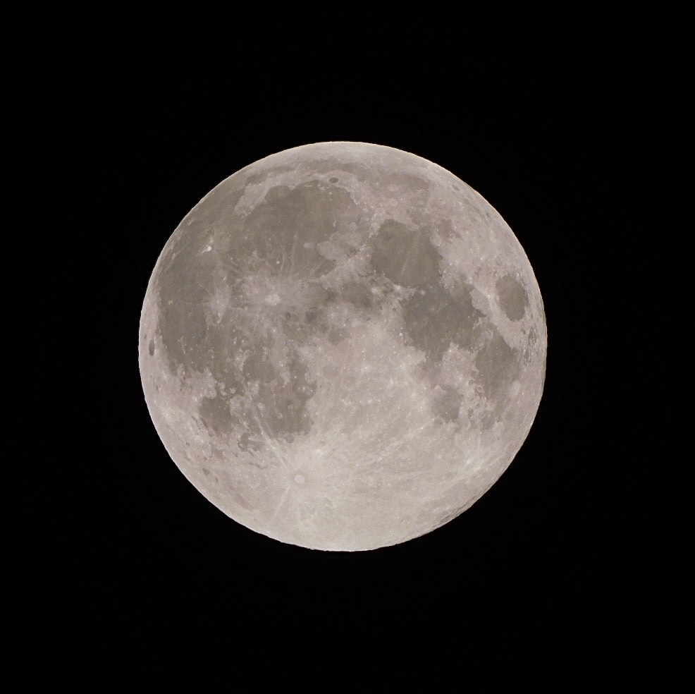 枠主参加型寝落ち枠