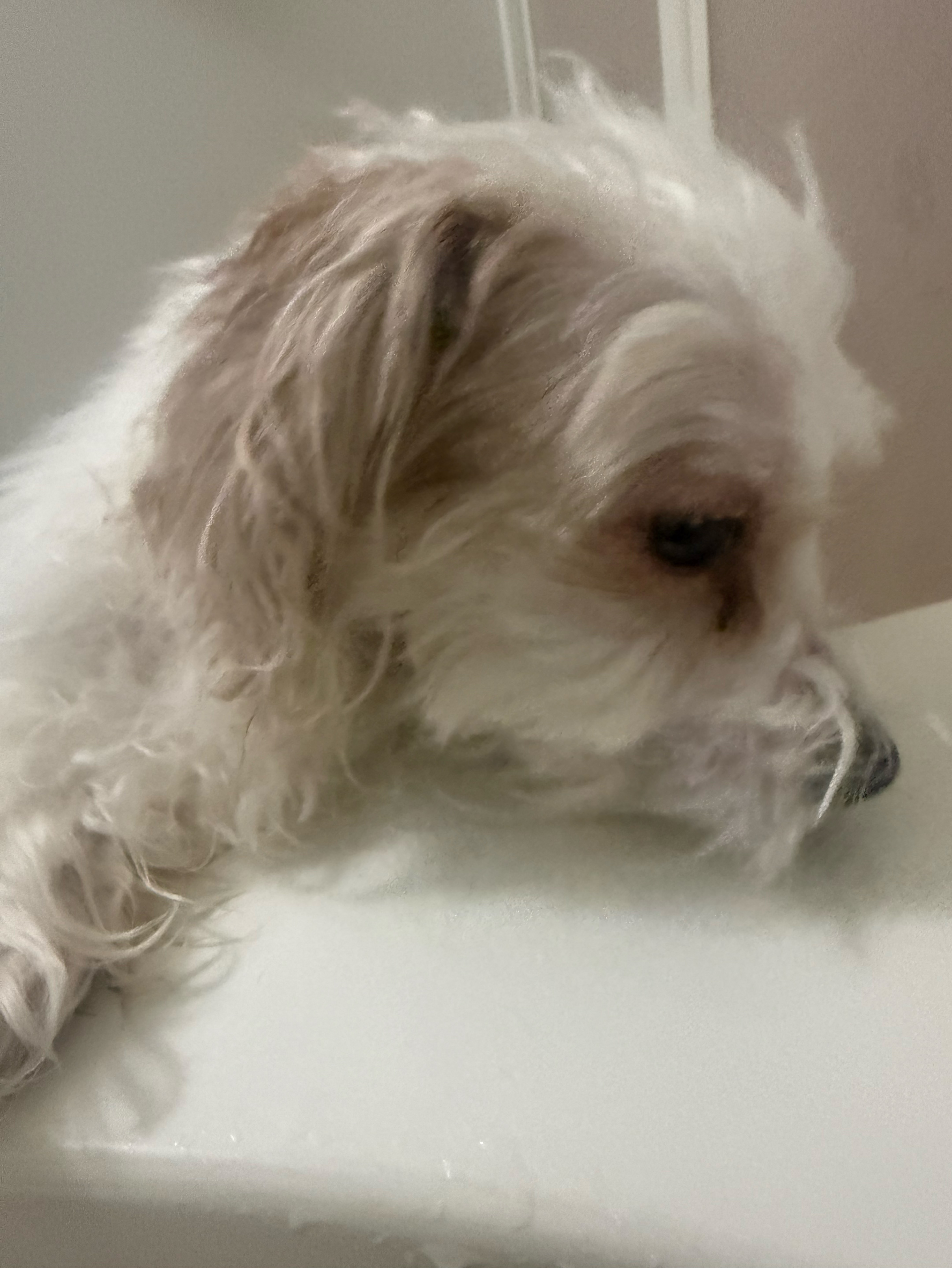 ẗ̤⚓︎ 定時枠