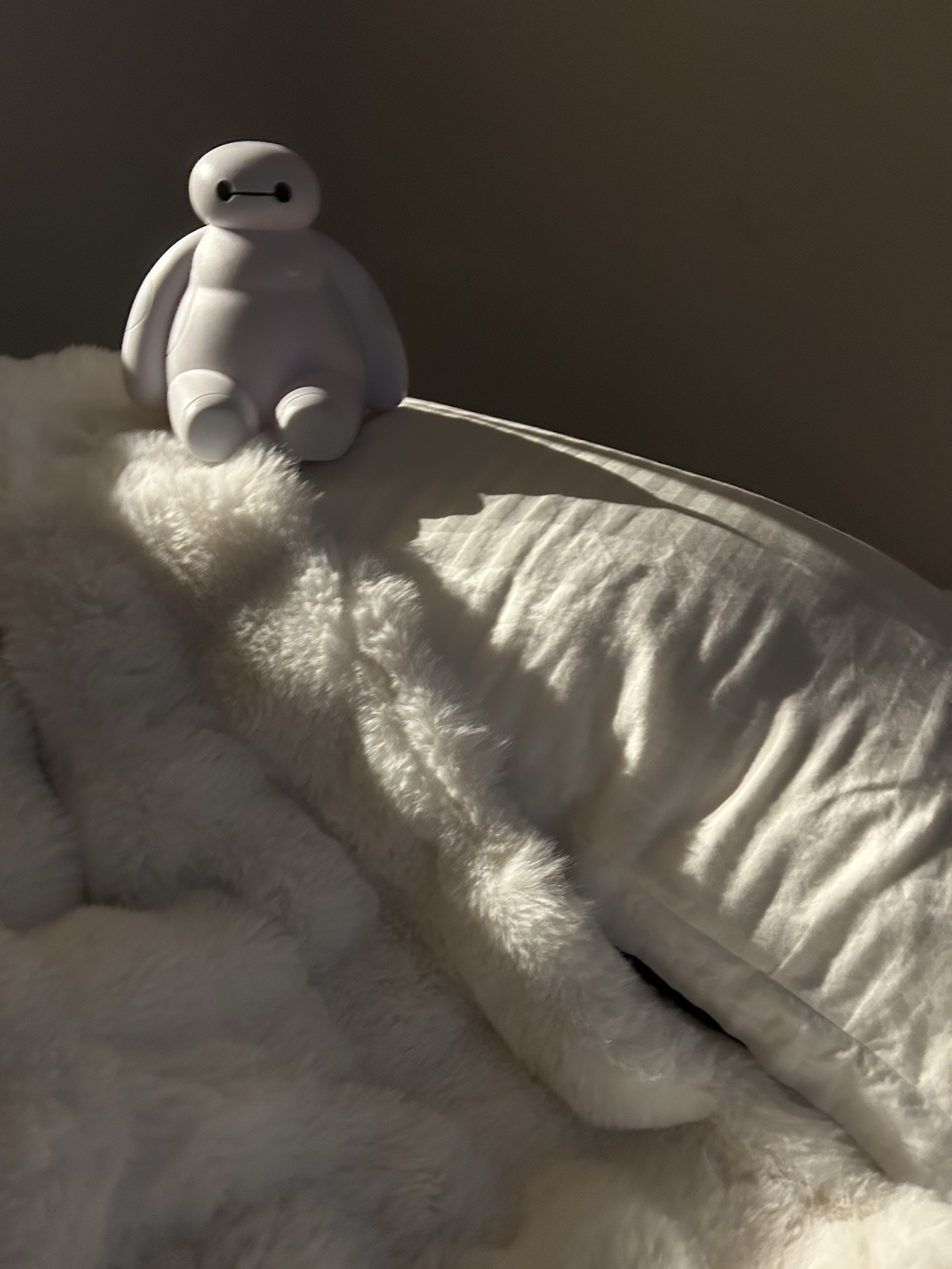 無機材のむっ！