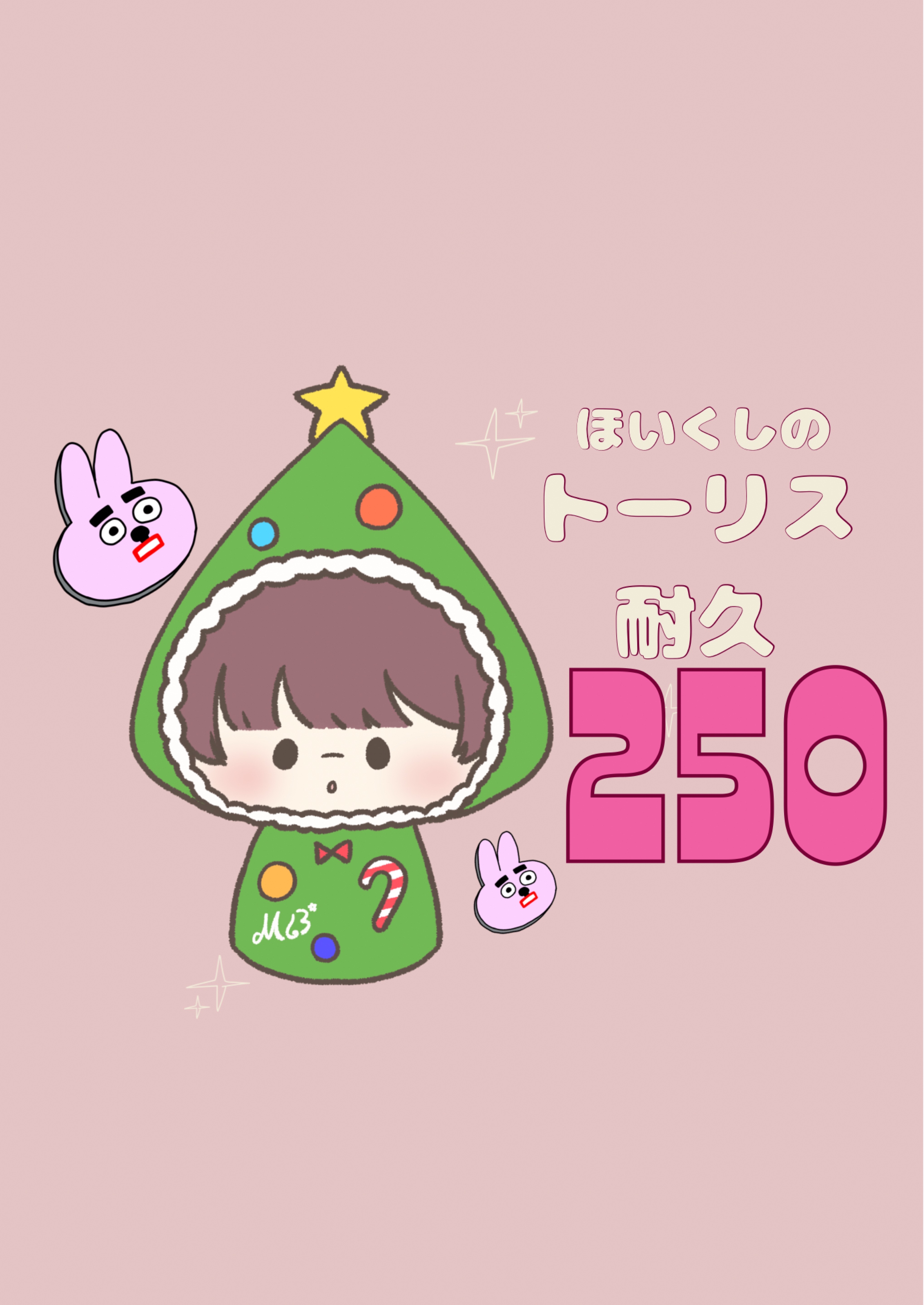 保育士のトーリス耐久250‼️