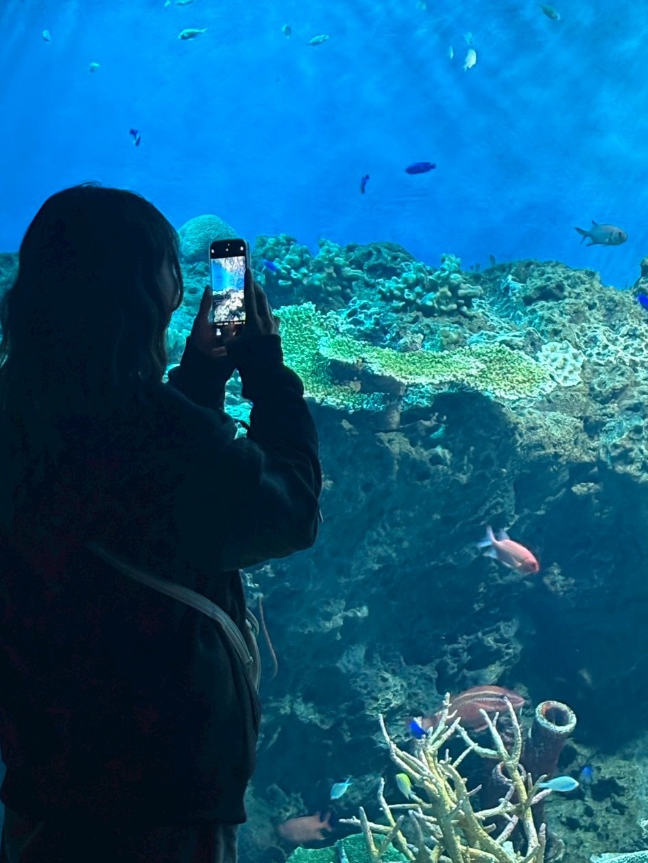 1h 朝の居心地いい枠 .