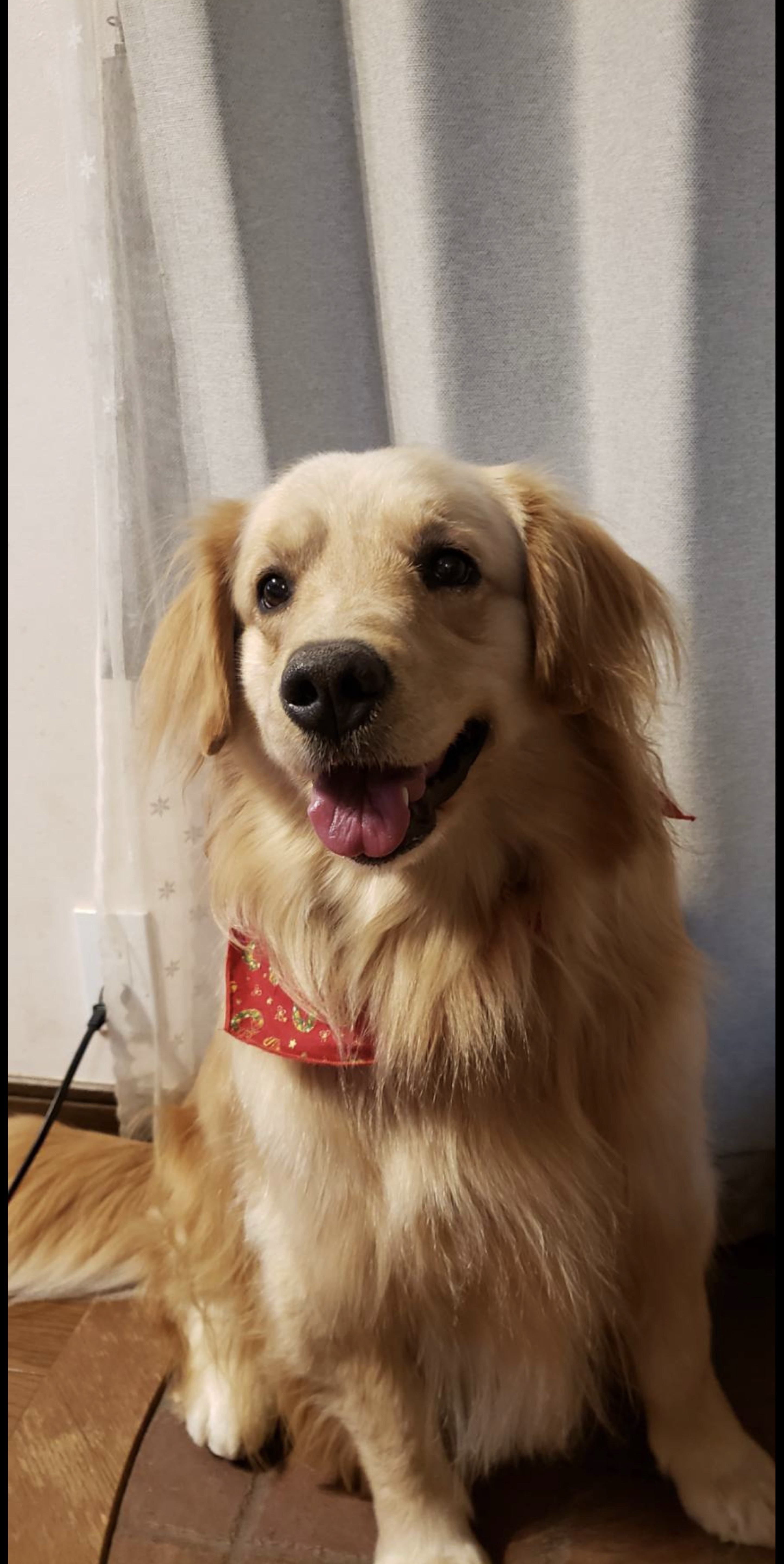 🎙️ちょうどいい枠(無機材)