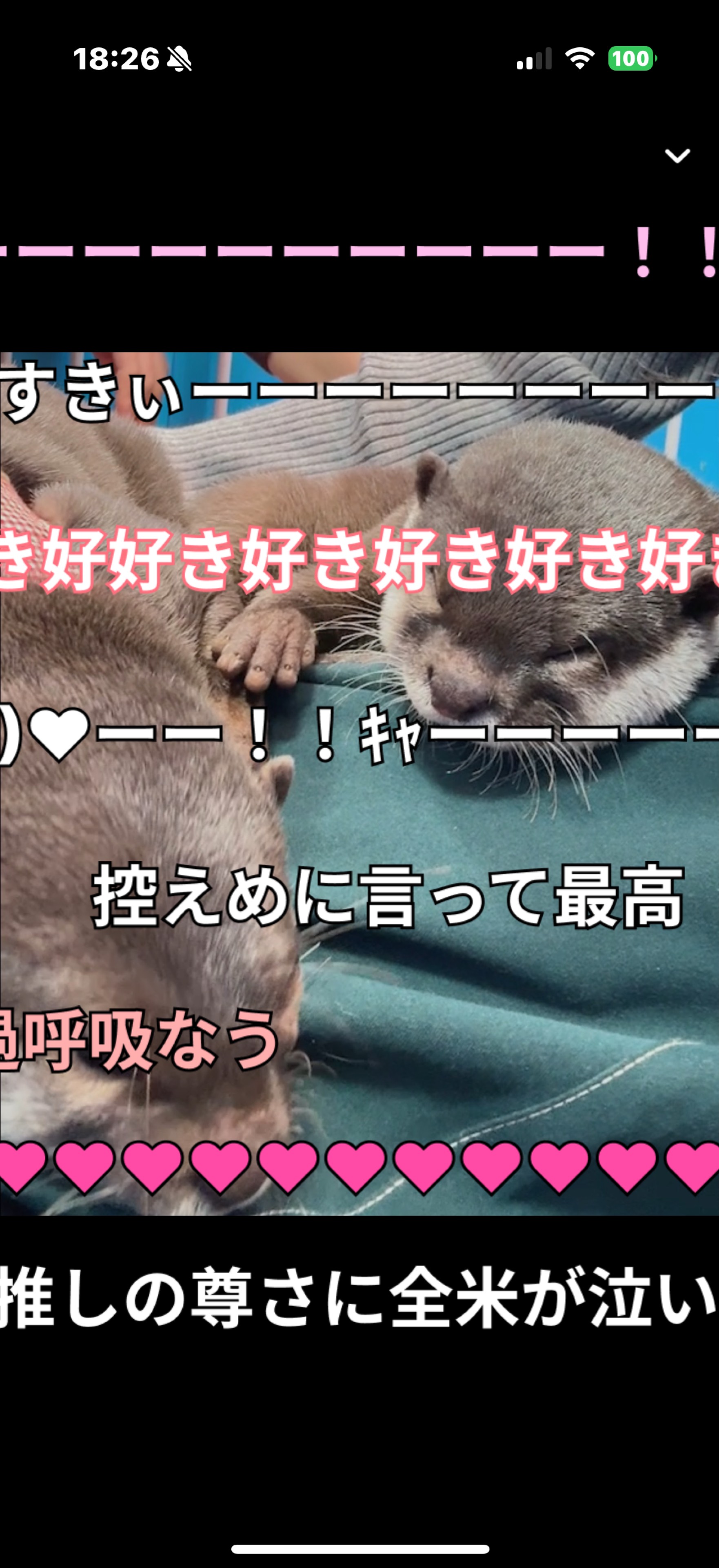 18:25まで!!エンタメちゃん♡