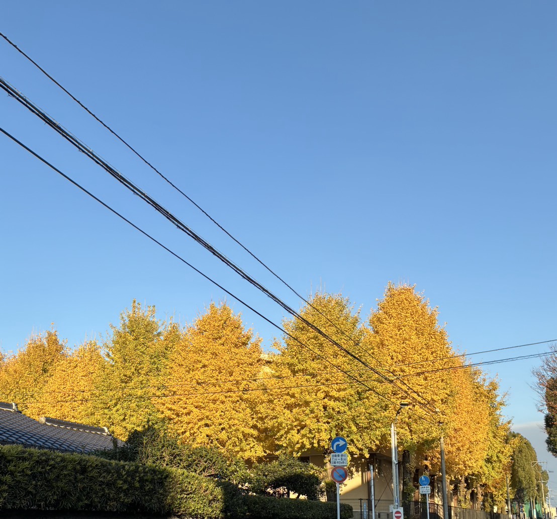 甘い声に漂う𓂃.