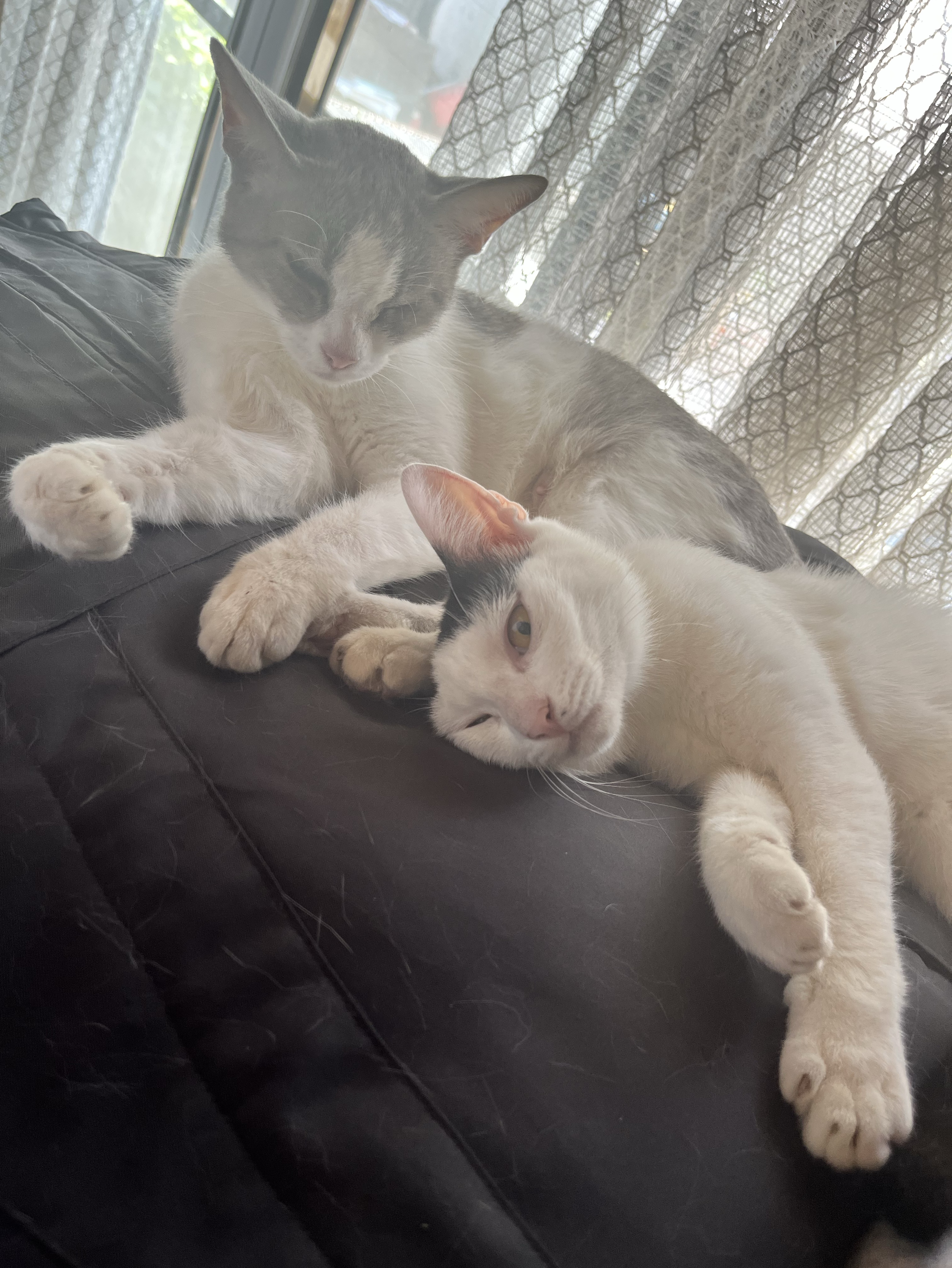 トーリス1000耐久！