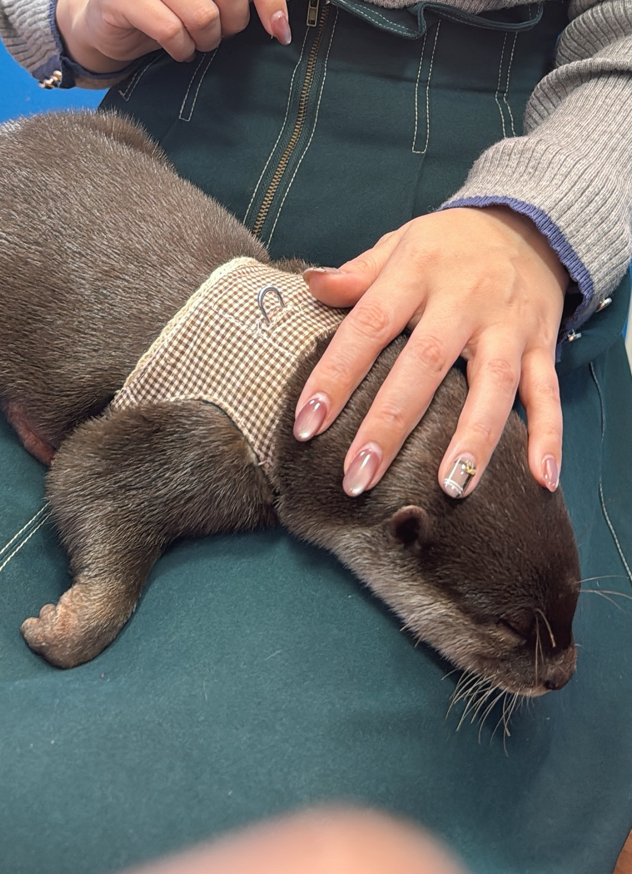 18:25まで!!エンタメちゃん♡