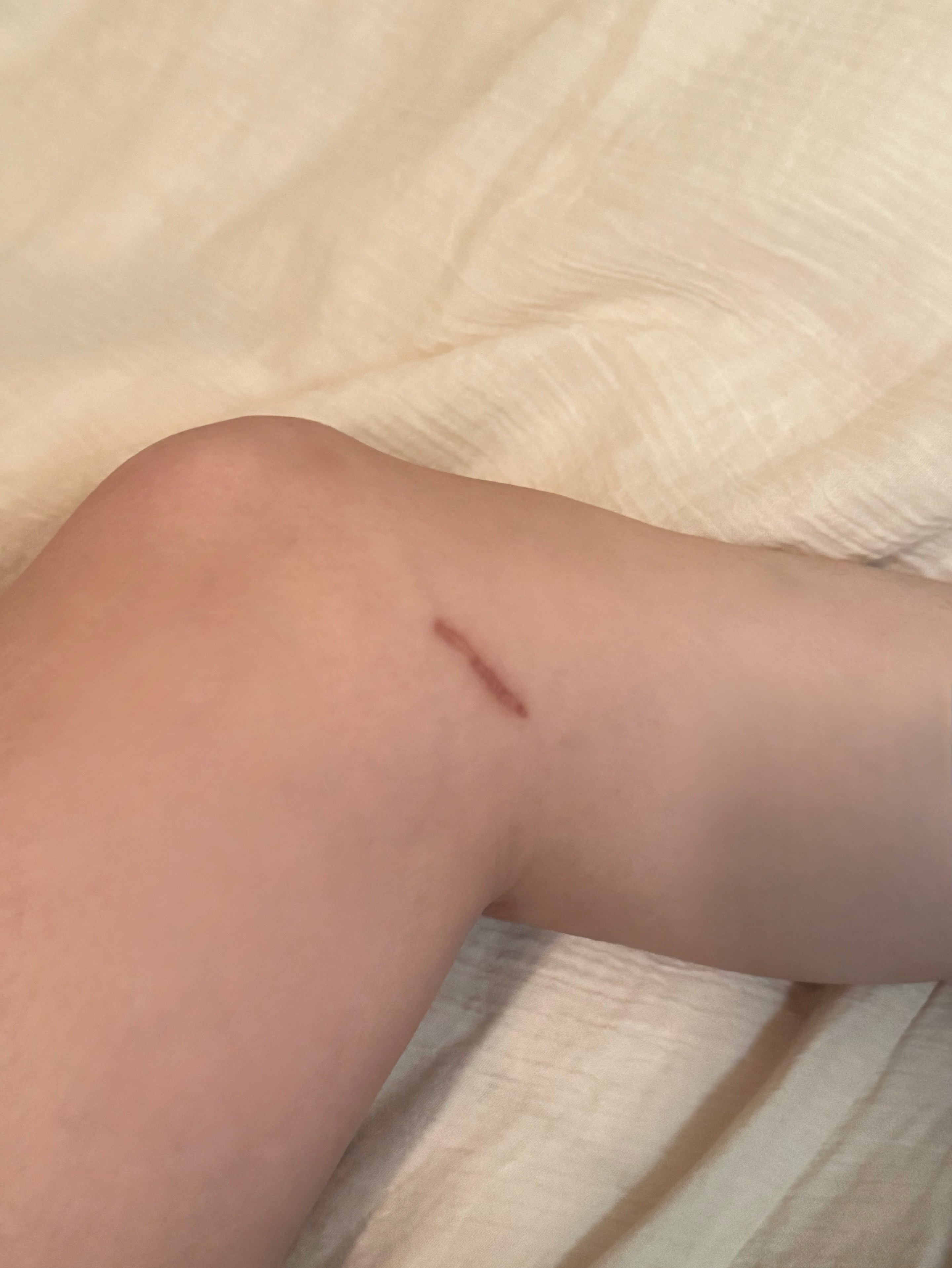 おいで。おはようとおやすみ。