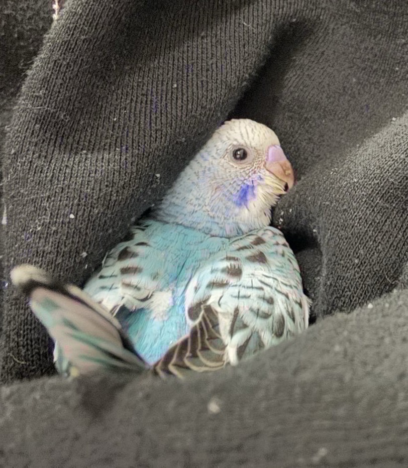 初見⭕️コラボ⭕️寝落ち⭕️雑談