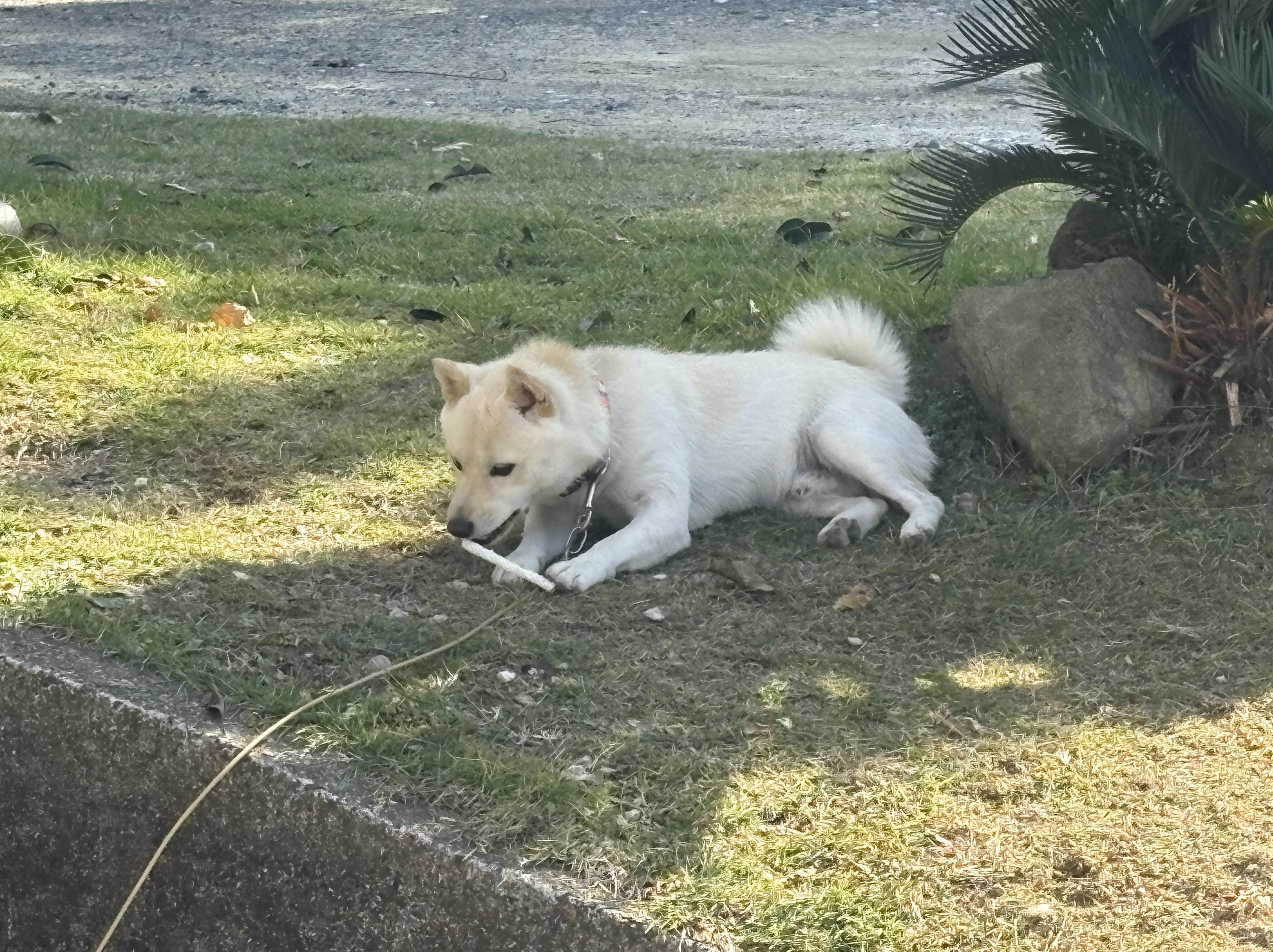 初潜◎まったりはなしましょー