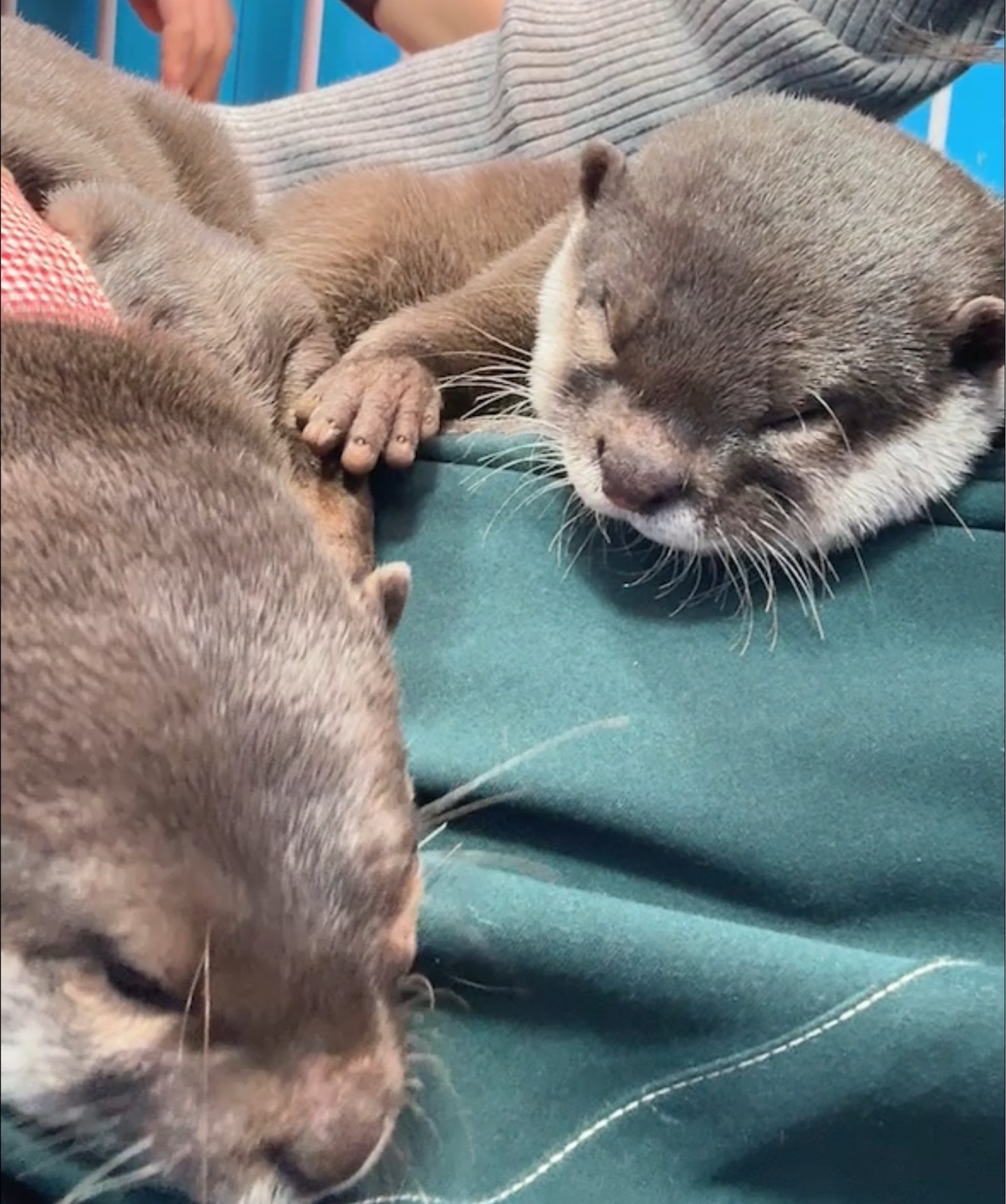18:25まで！！エンタメちゃん♡