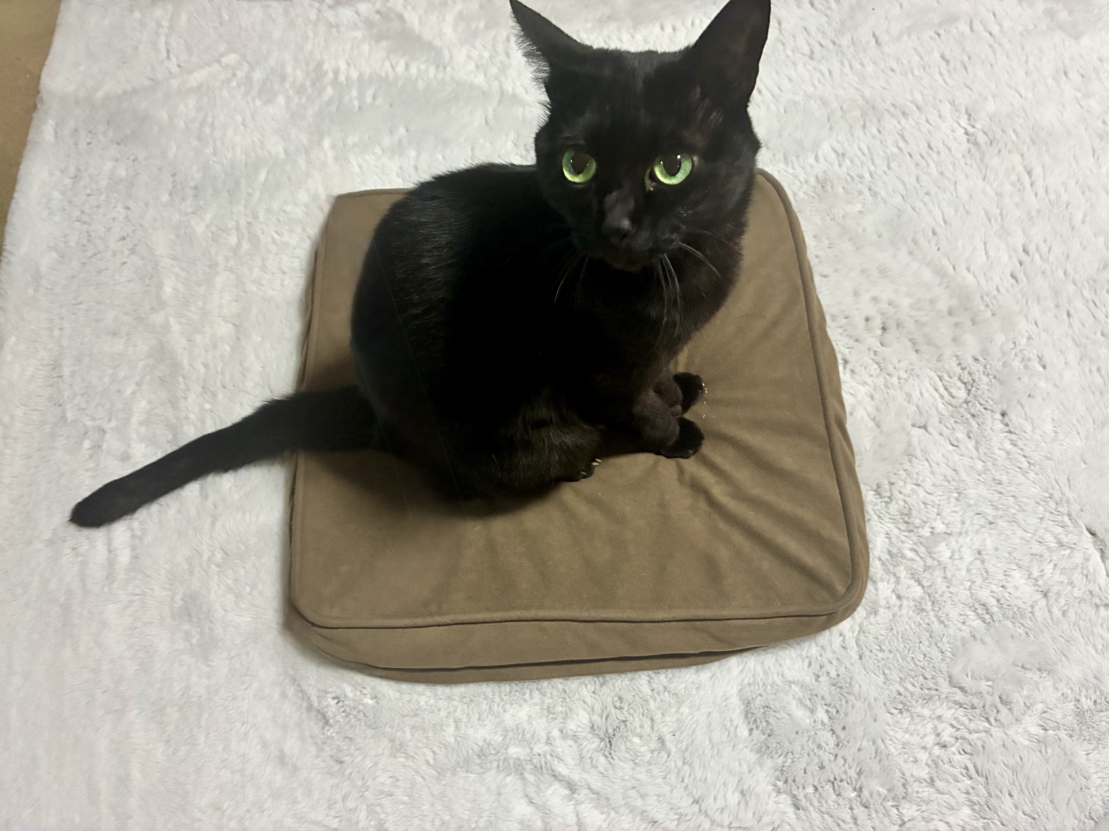 【雑談】週末反省会