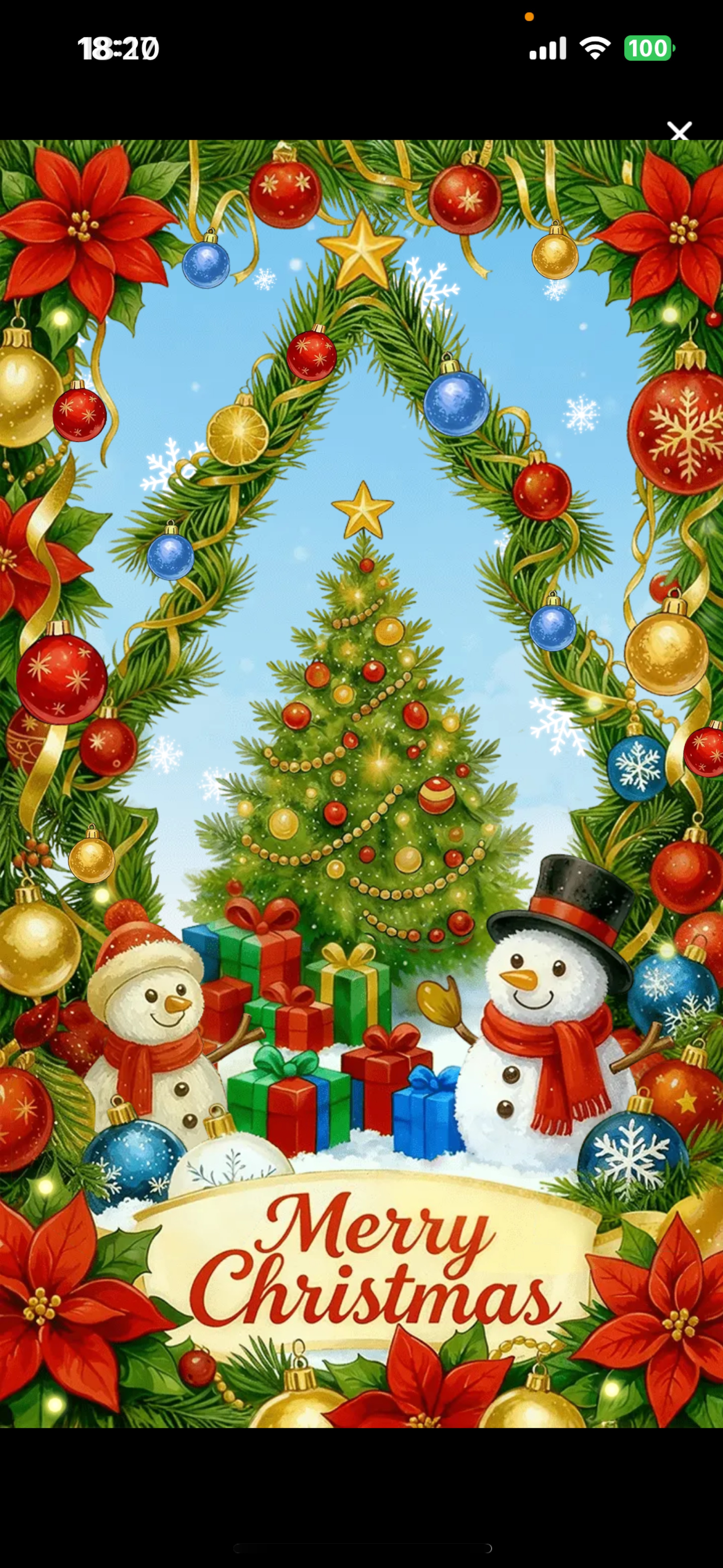 ほうれんそう‼️