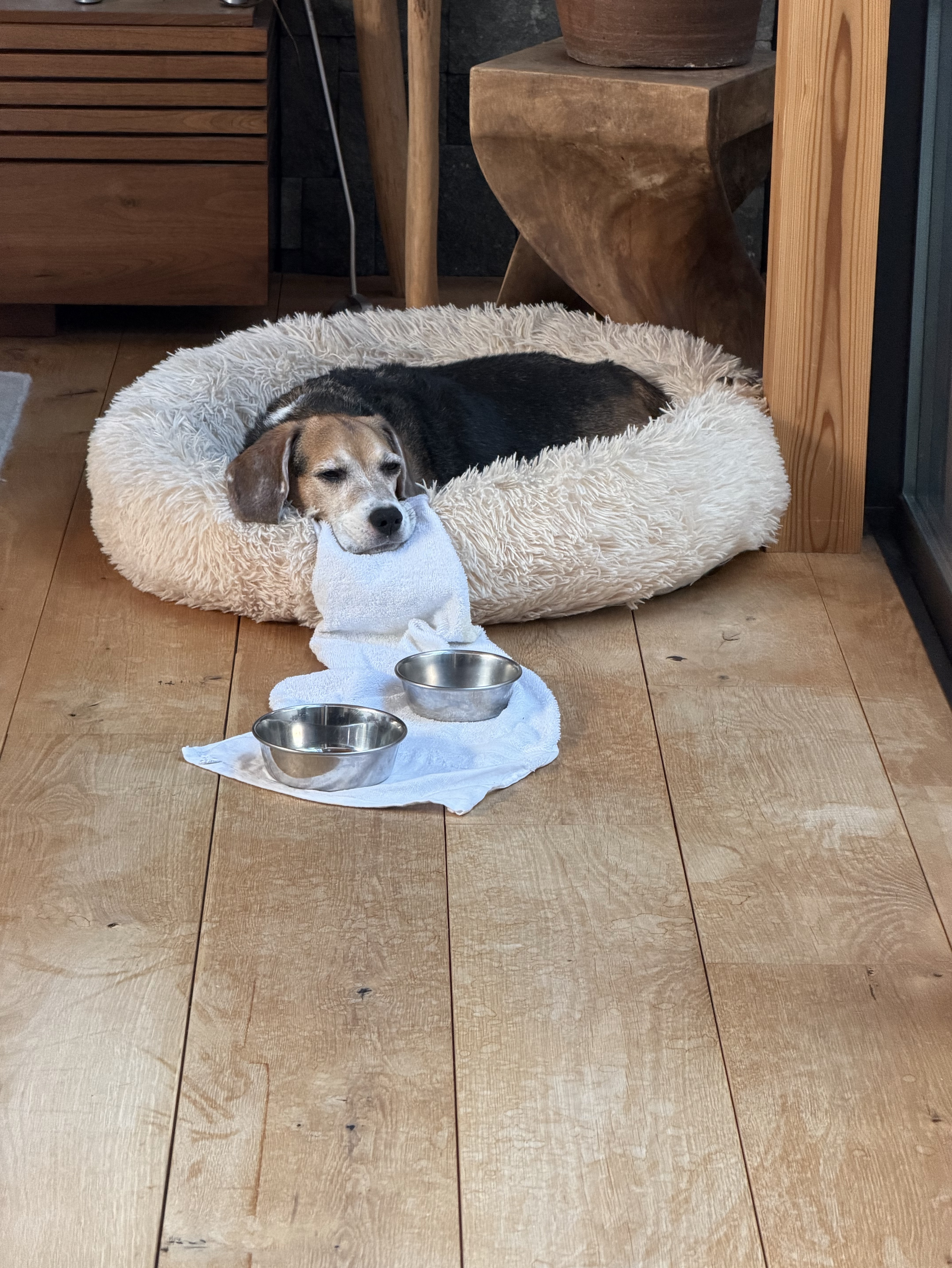 初/ はなしてこう