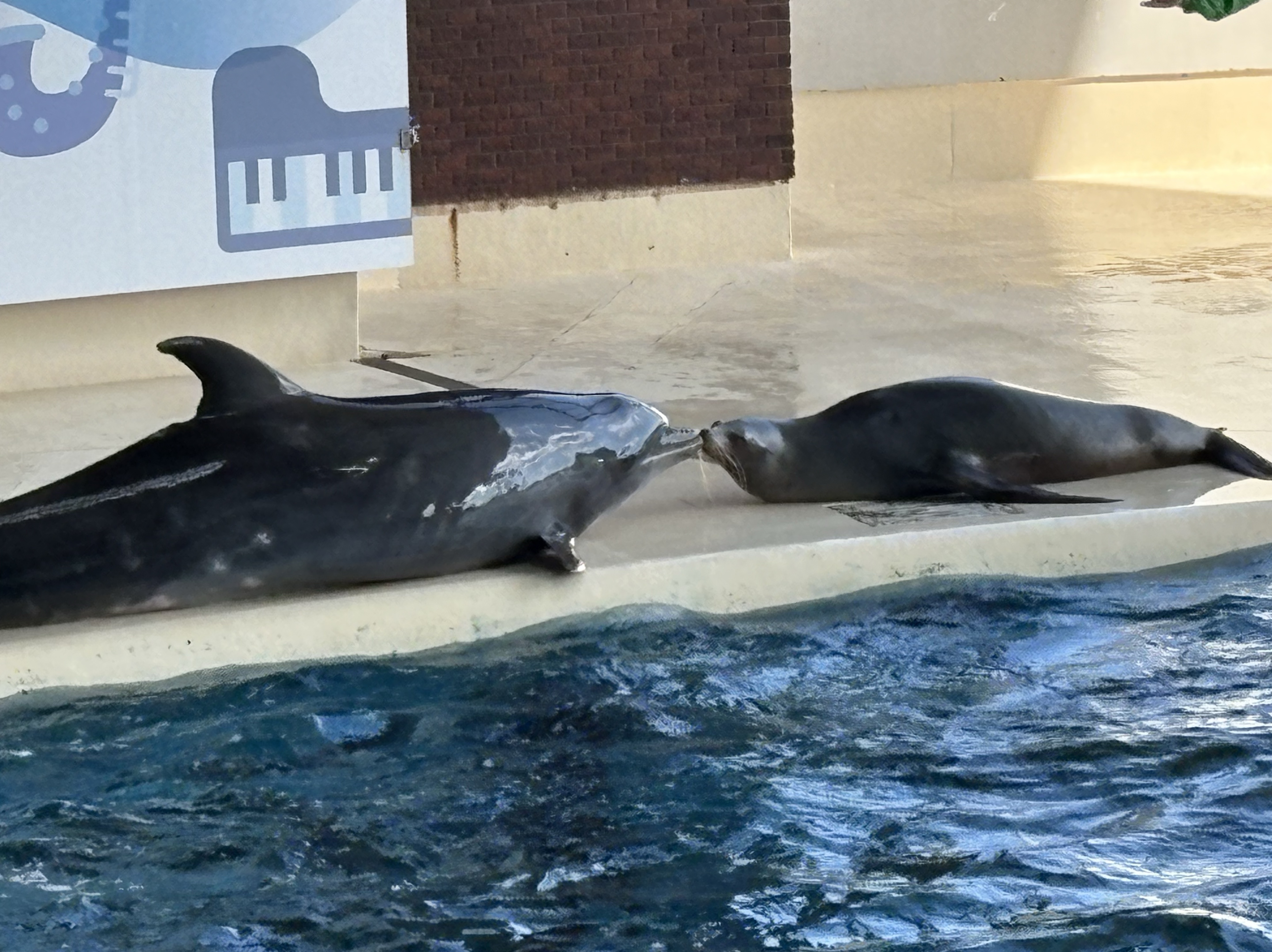 初潜◎まったりはなそ