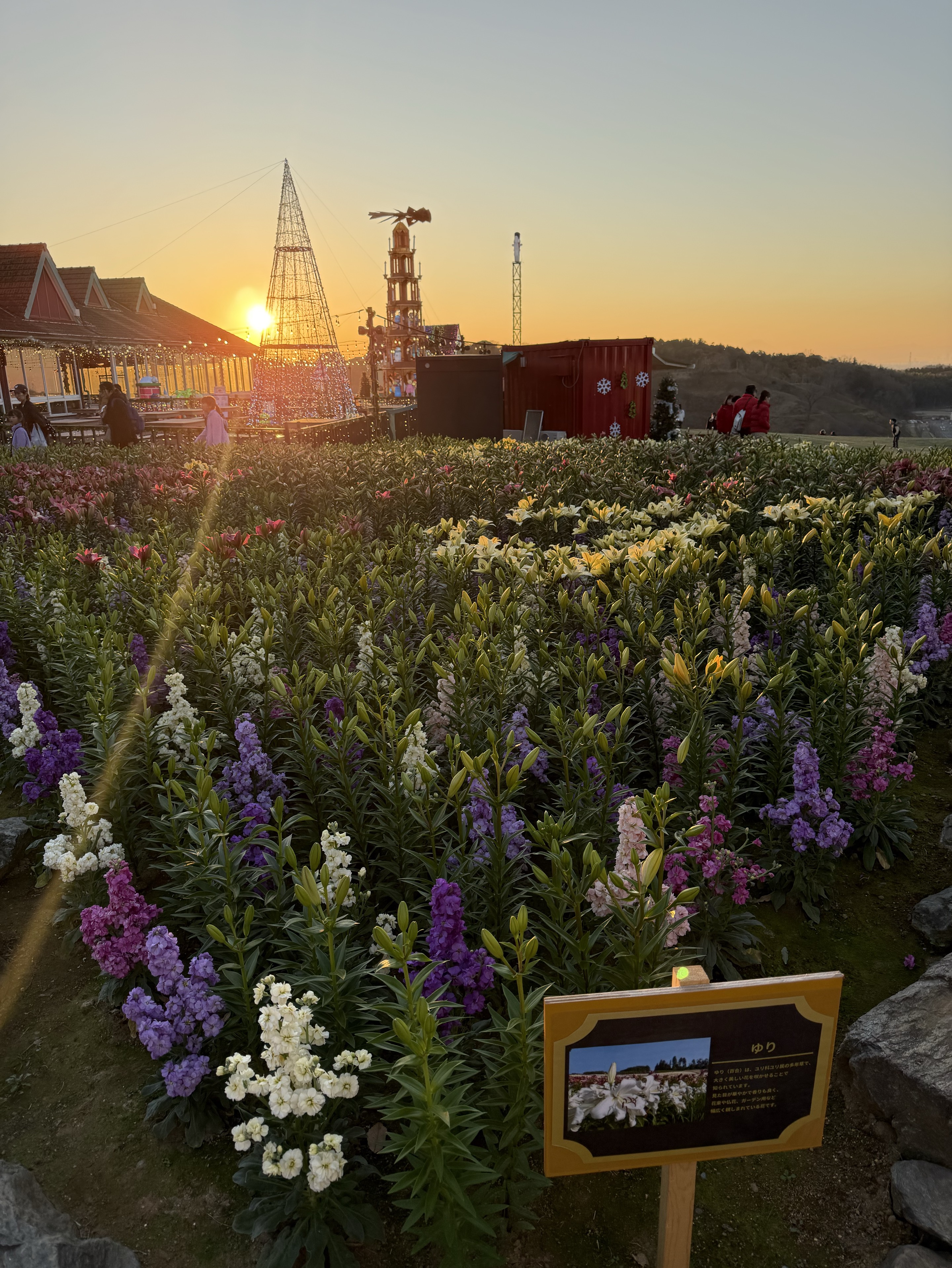 【優声】おはよ。おいで。12.8