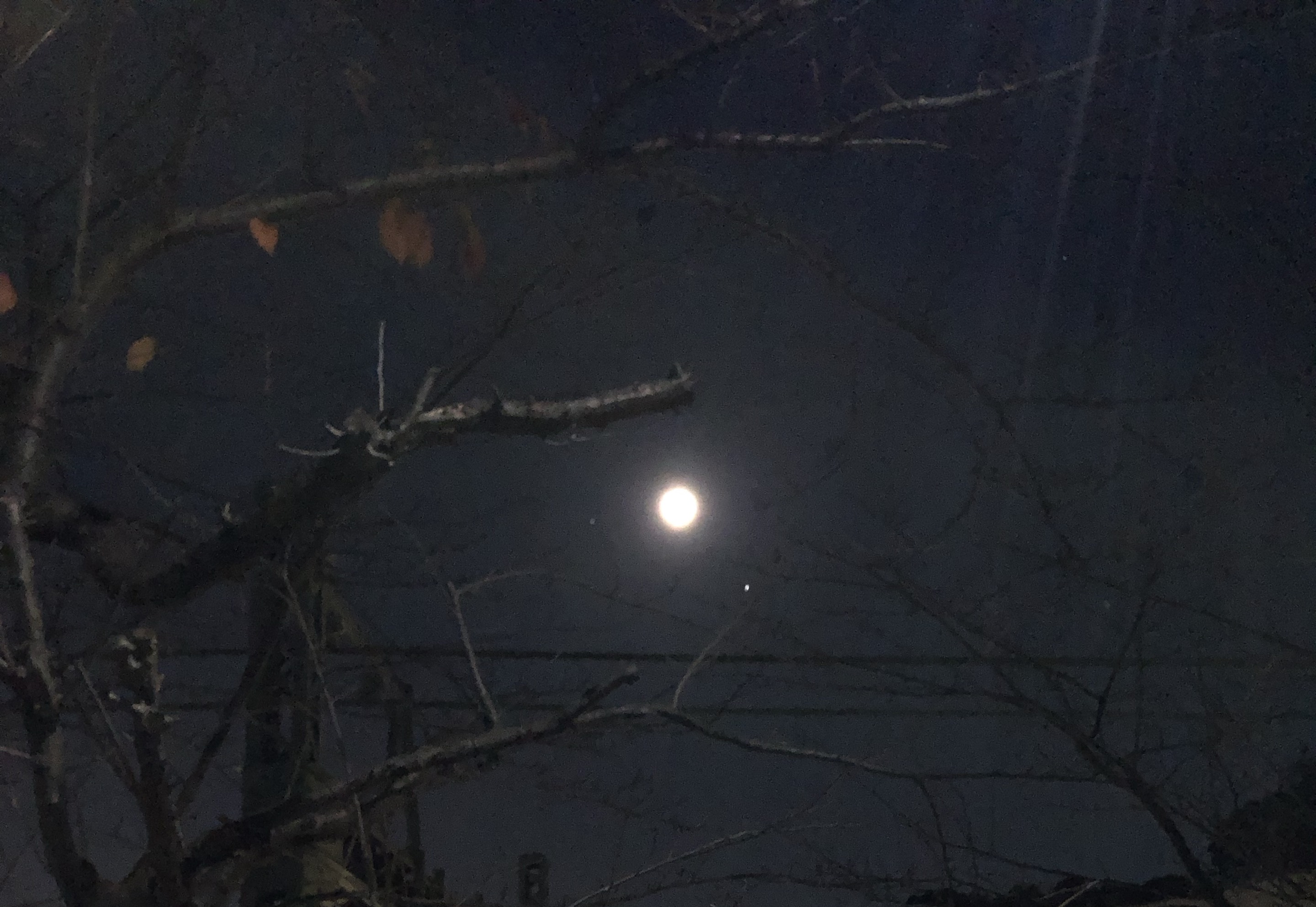 少し話しますか