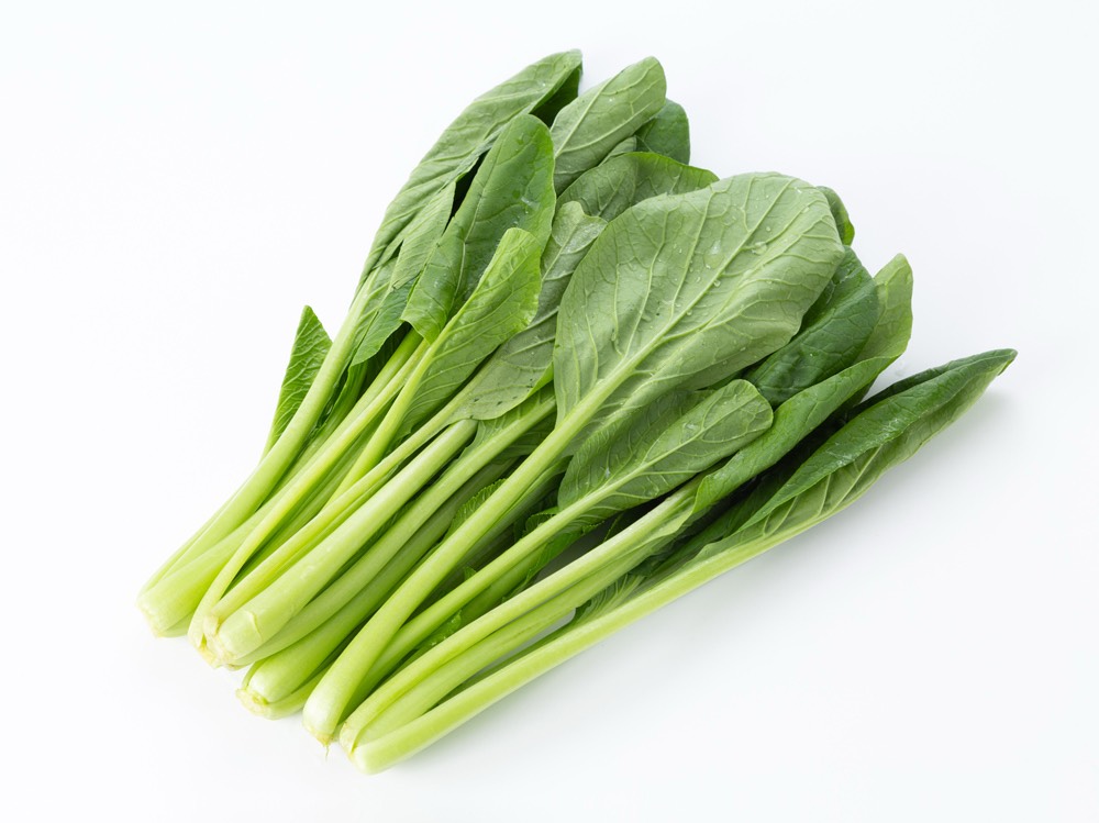 ほうれんそう‼️