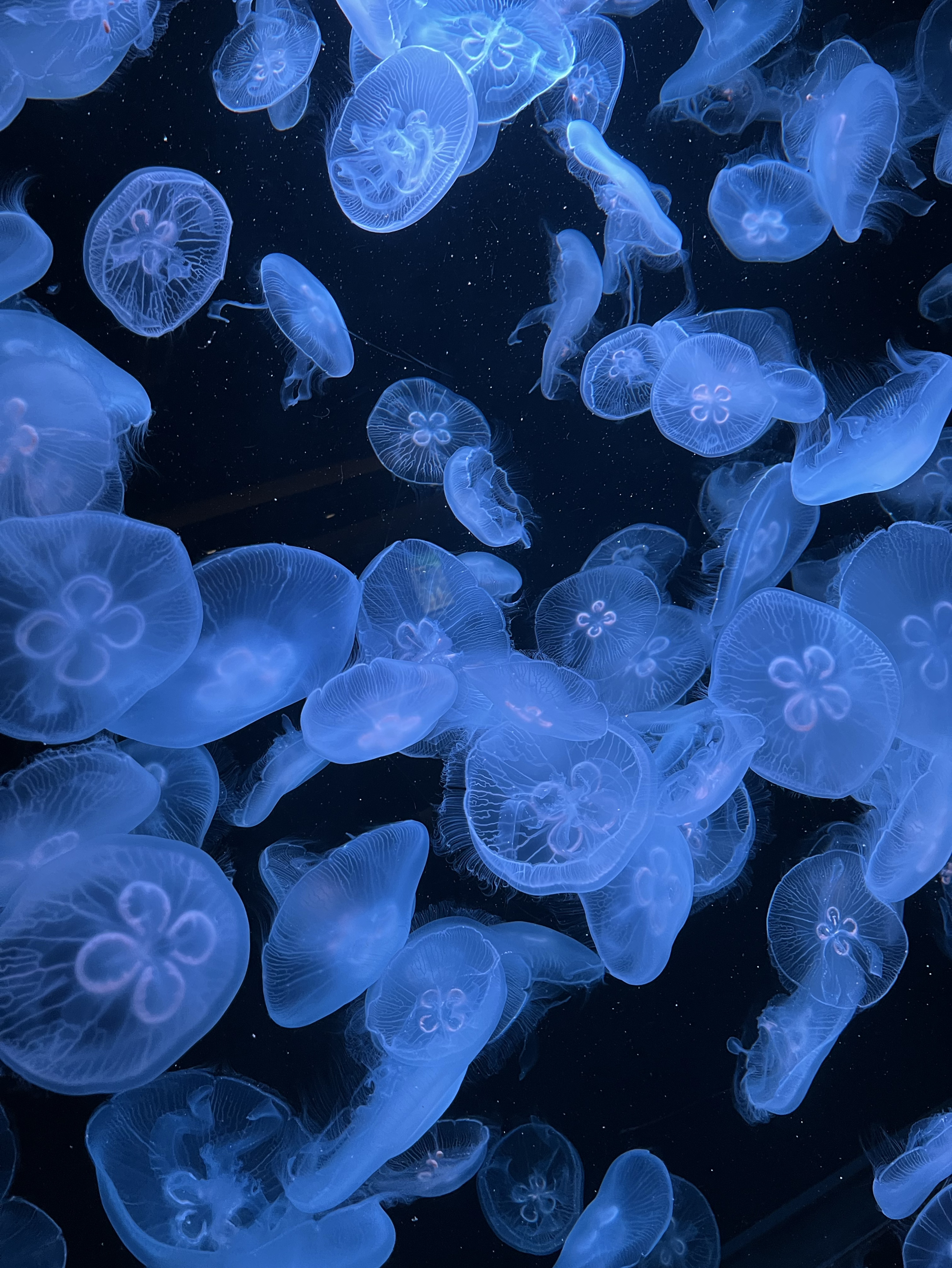 すこしだけ話したい