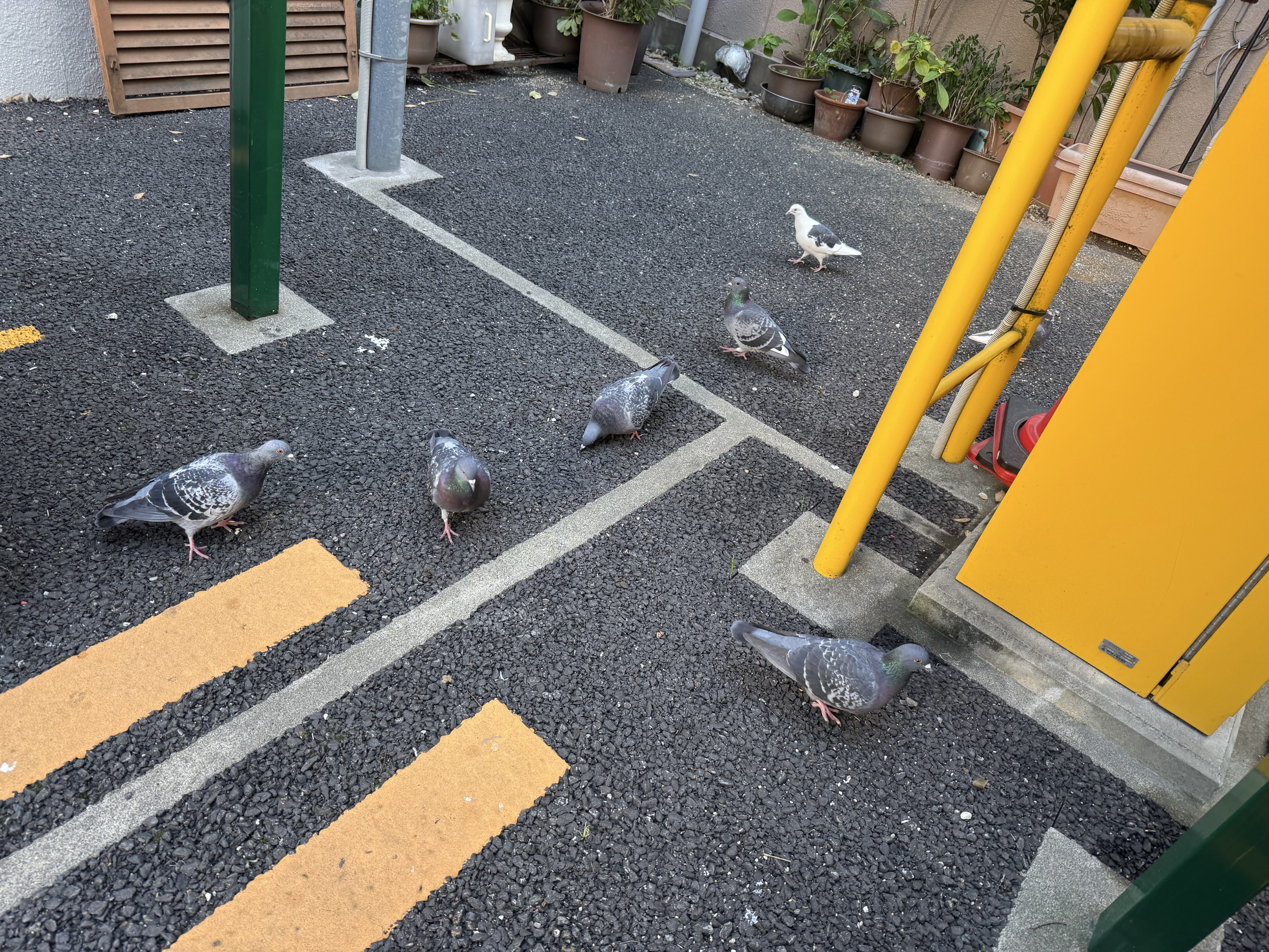おはよ!初見さんFUNさんお話しよ!