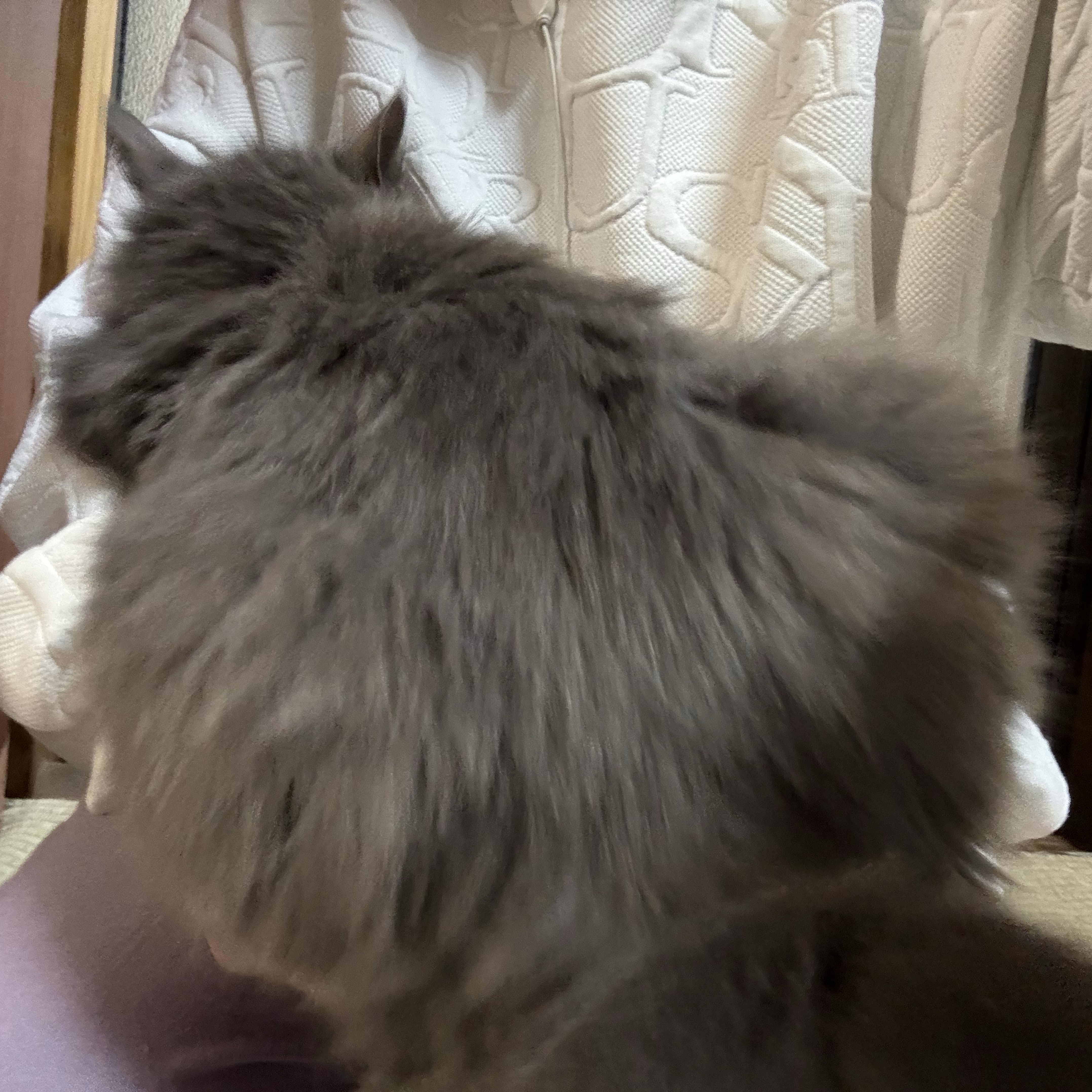 1209 初潜〇おはよう ♡落歓迎