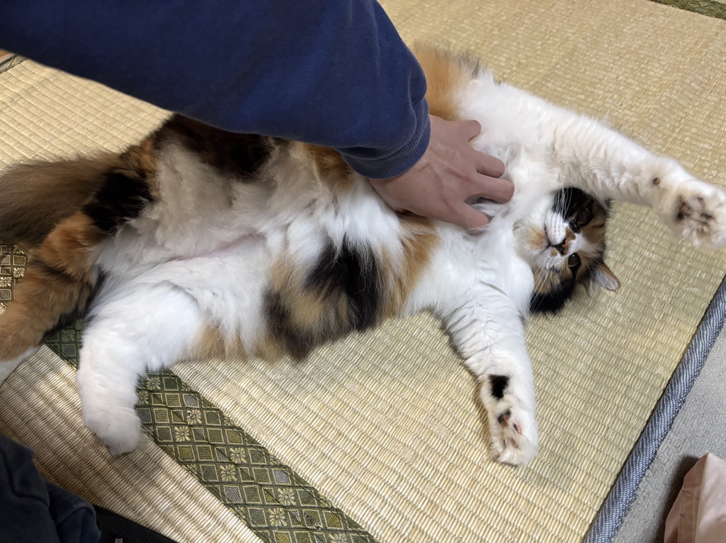 1209 初潜〇おはよう ♡落歓迎