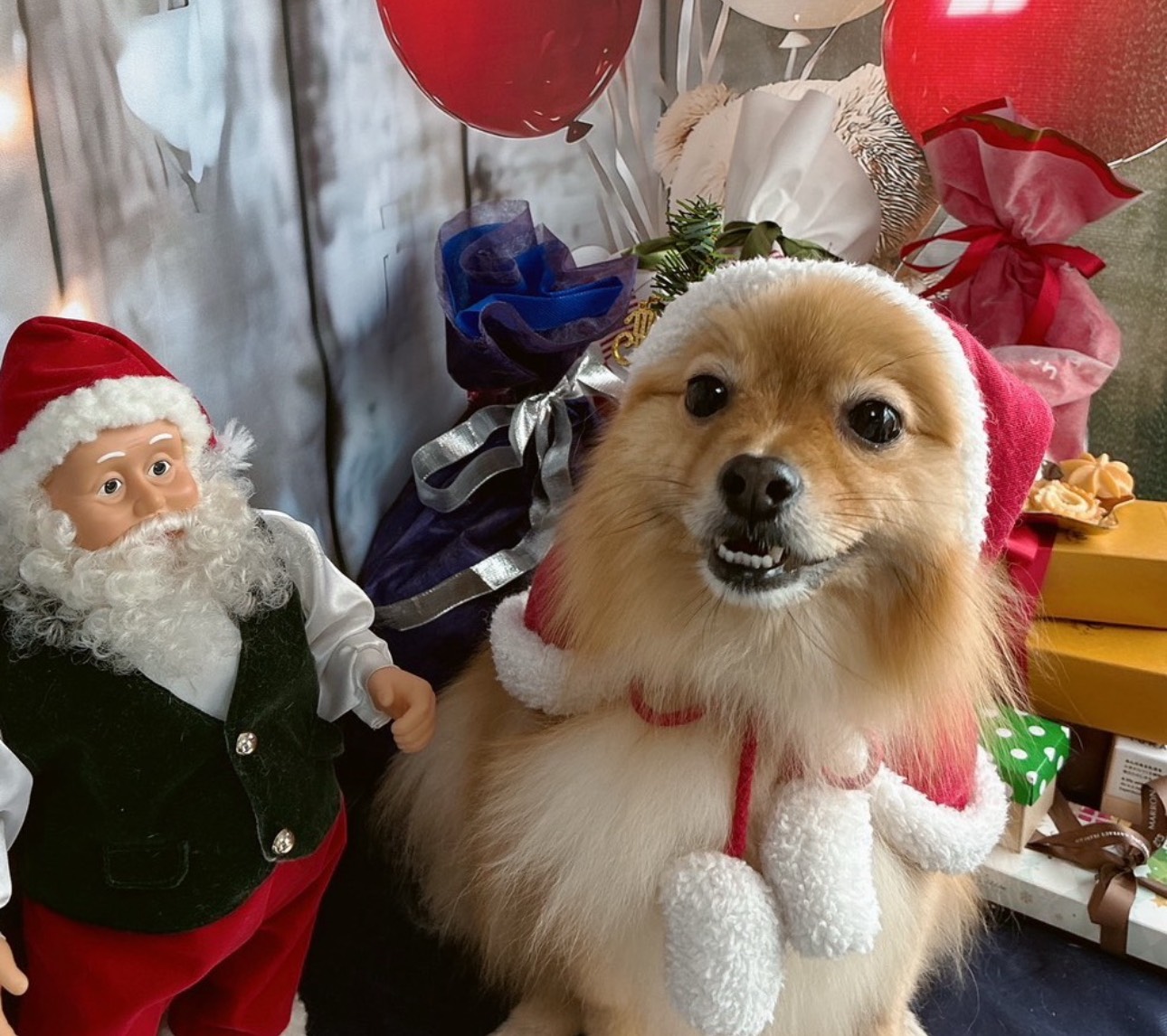 雑談 ¦ BGMにどうぞ♩